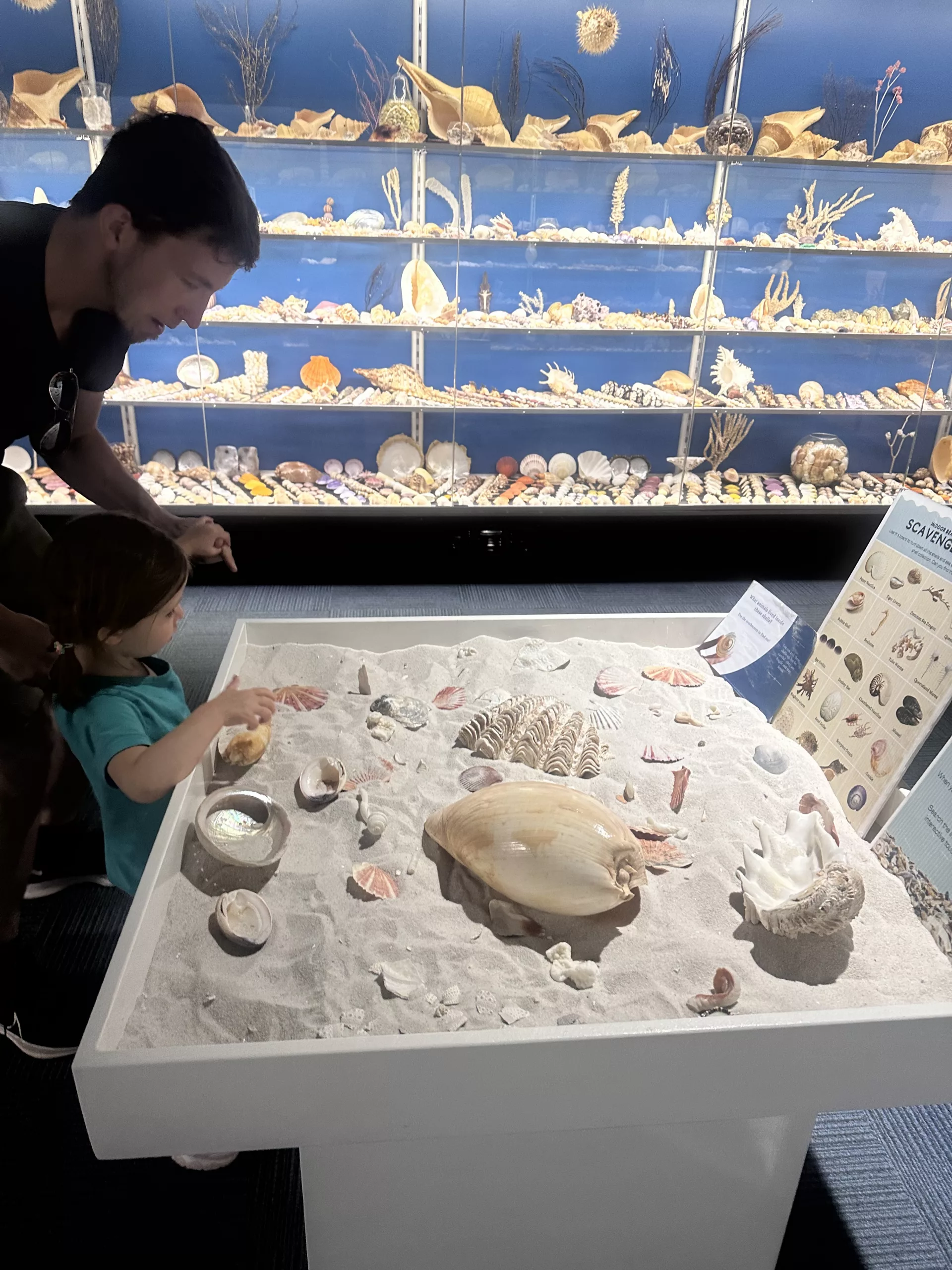 Muschelsuche für Kinder am Eingang der Albany Whaling Station