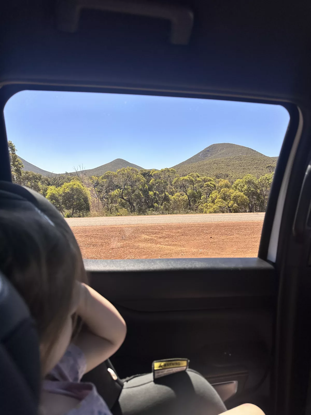 Grün, grün, grün ist alles, was wir sehen Ausblick auf die grüne Landschaft im Sterling Nationalpark