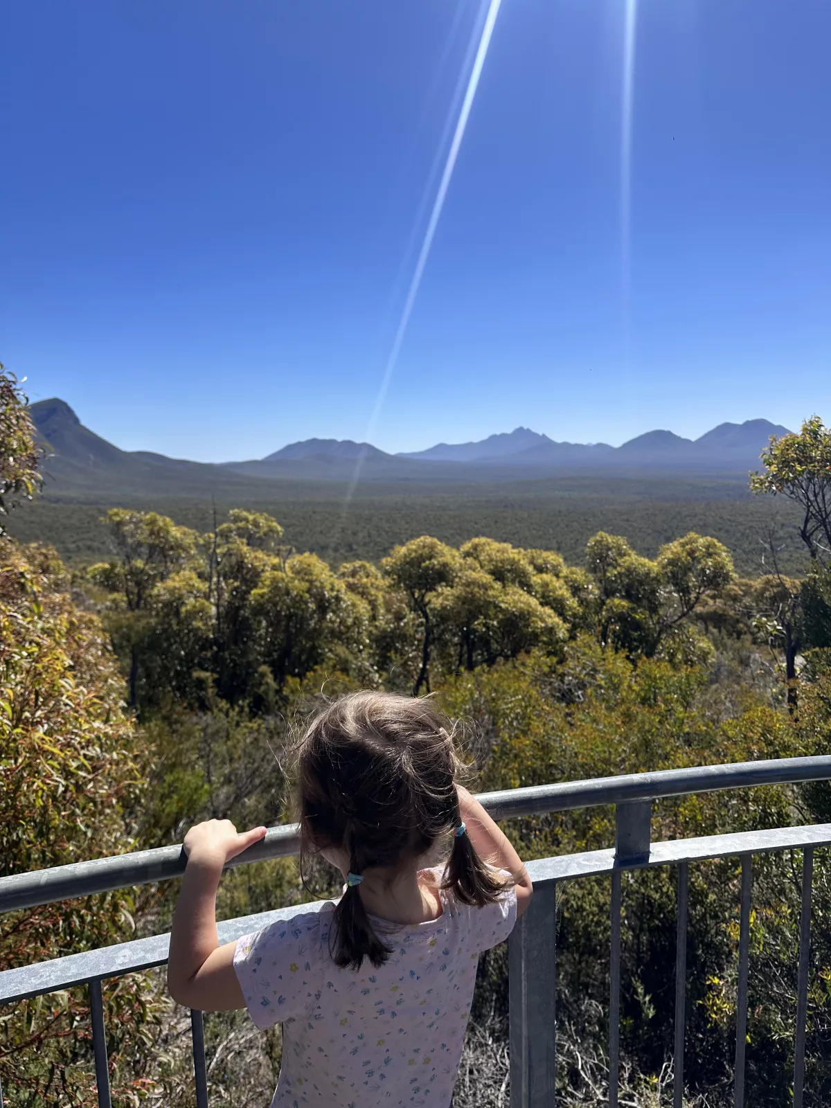 Wir genießen den Blick auf die grüne Landschaft noch ein bisschen Wir genießen den Blick auf die grüne Landschaft