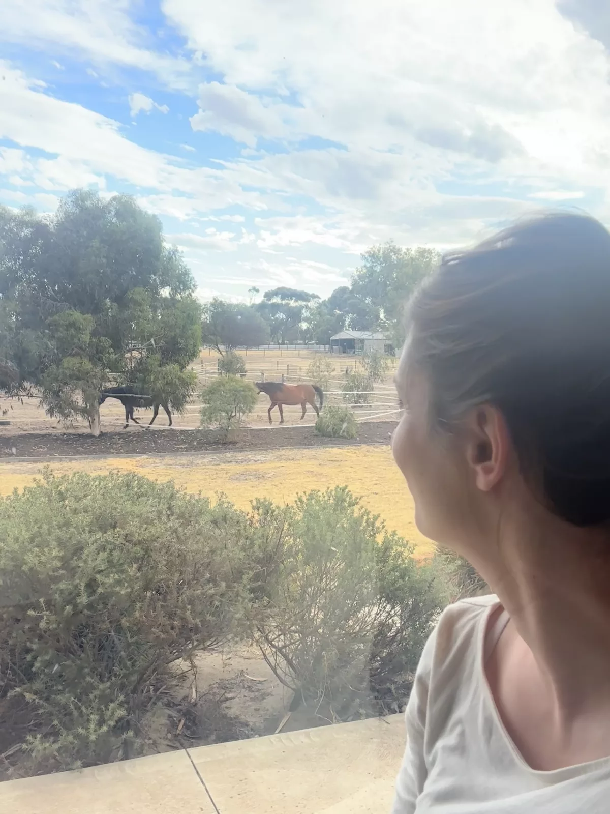 Blick vom Schlafzimmer direkt auf die Weide/Koppel Blick vom Schlafzimmer direkt auf die Weide/Koppel