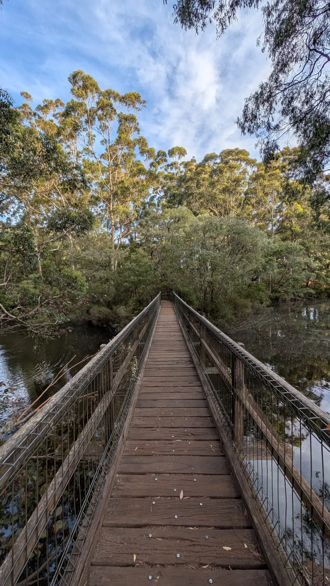 River Walk im Rotary Park von Margaret River