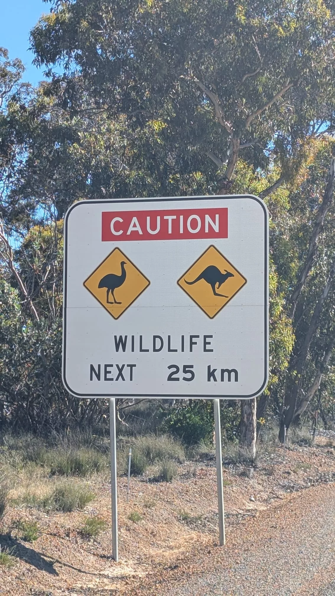 Kängurus kennen wir ja schon, aber hier sehen wir viele Emus Warnschild an der Straße: Kängurus kennen wir ja schon, aber hier sehen wir auch viele Emus