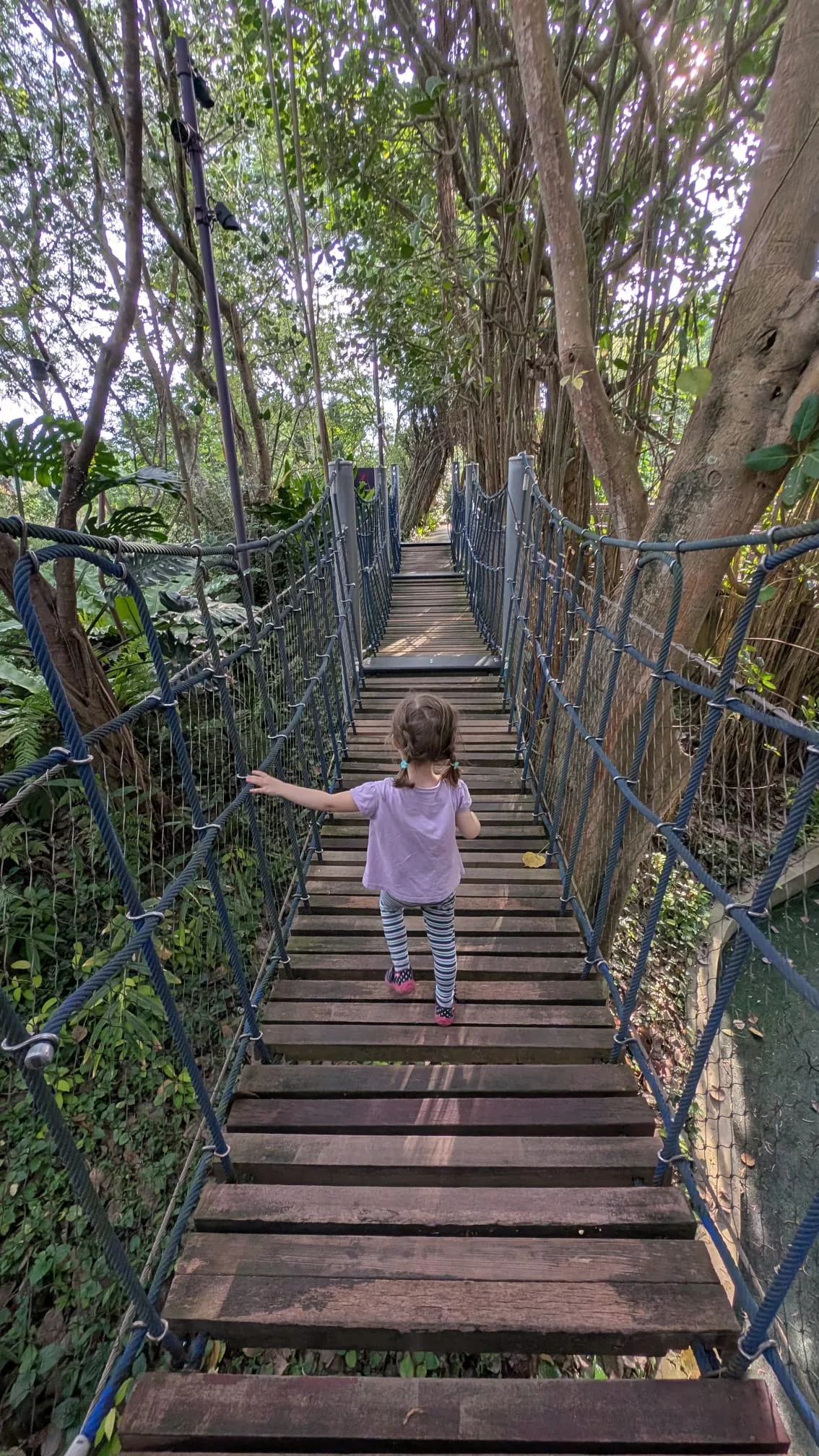Über Hängebrücken geht es weiter zum Klettern und Rutschen Über Hängebrücken geht es weiter zum Klettern und Rutschen auf dem Spielplatz in den Gardens by the Bay