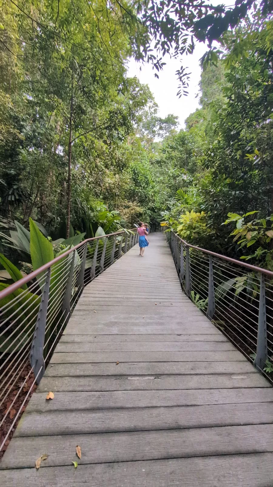 Willkommen im Botanischen Garten von Singapur Willkommen im Botanischen Garten von Singapur