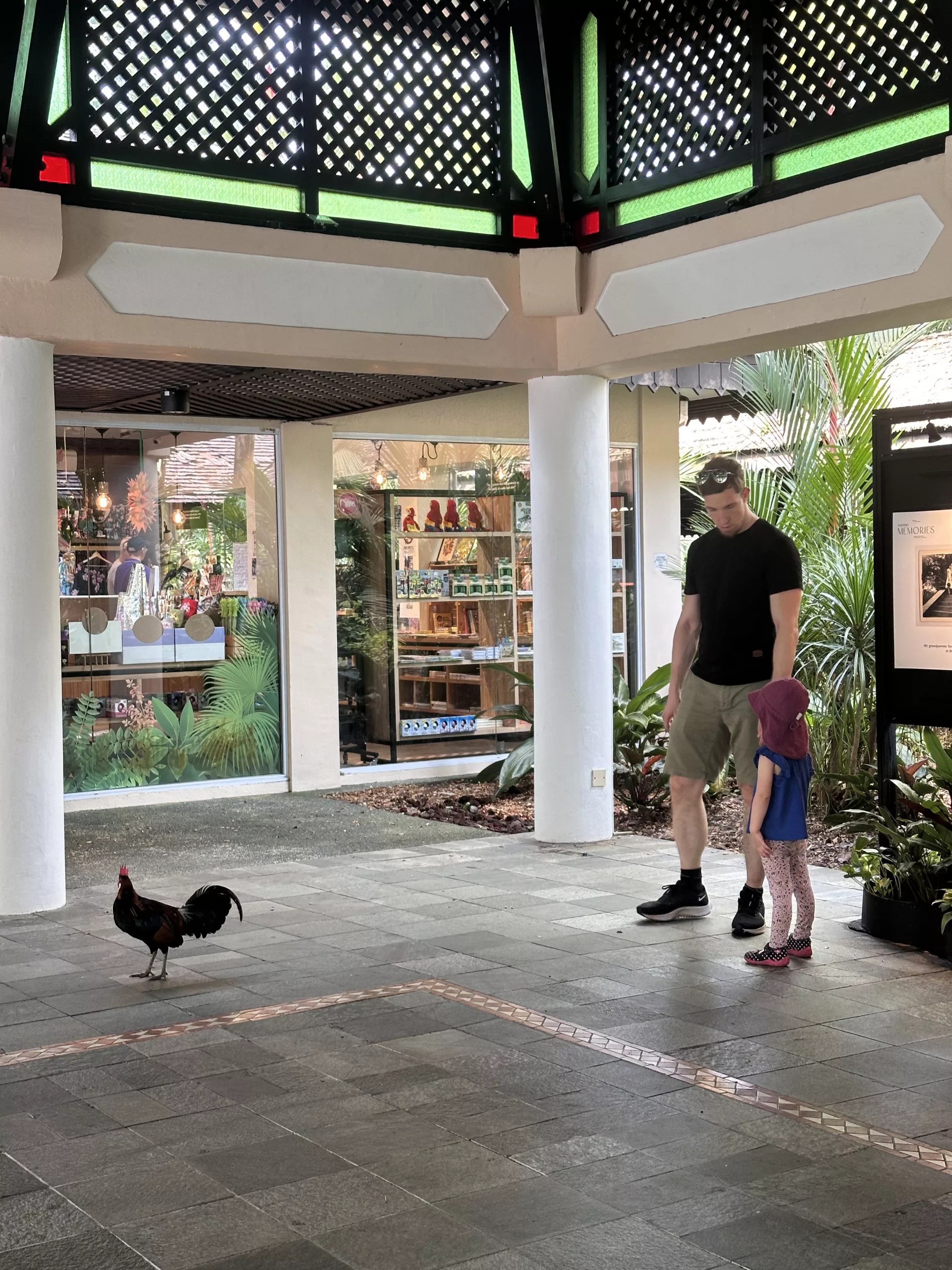 Wie überall in Singapur sind Hühner und Hähne aktiv