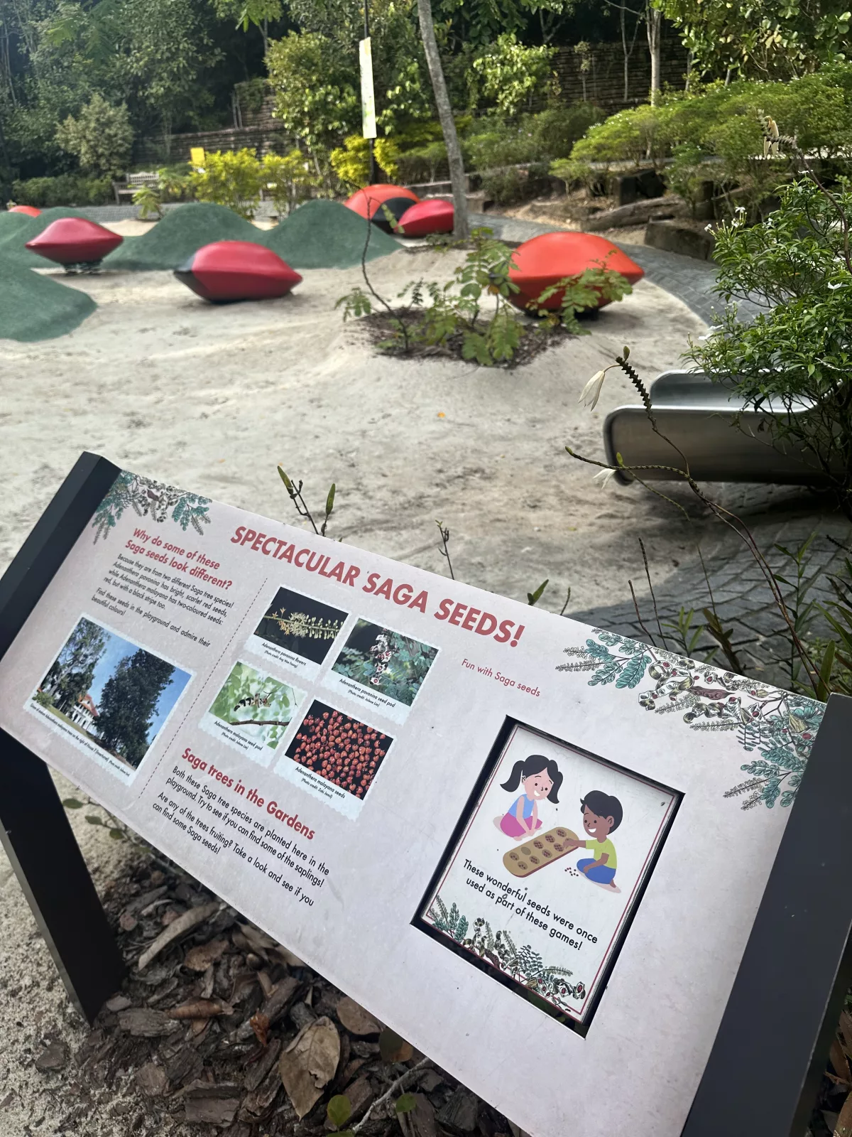 Auch hier kann man neben dem Klettern etwas lernen Auch auf dem Spielplatz im Botanischen Garten kann man neben dem Klettern etwas lernen