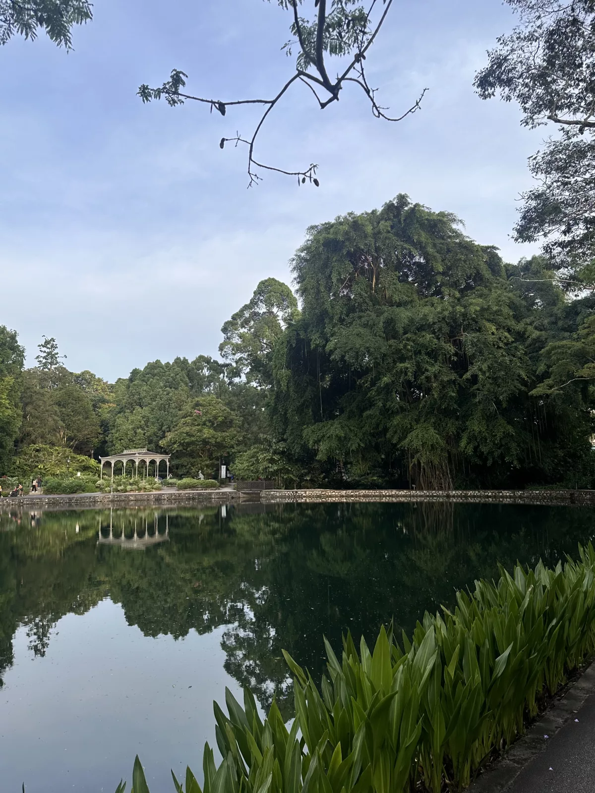 Kleiner Spaziergang um den See Kleiner Spaziergang um den See im Botanischen Garten Singapur