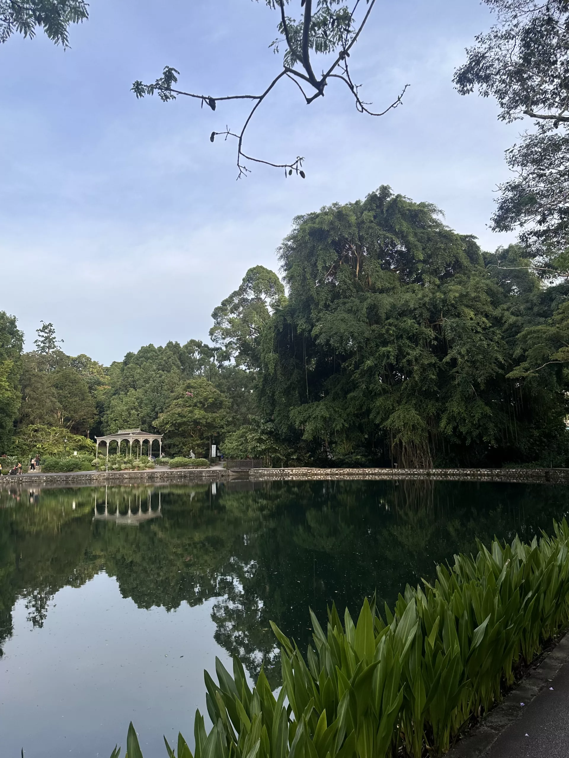 Kleiner Spaziergang um den See im Botanischen Garten Singapur