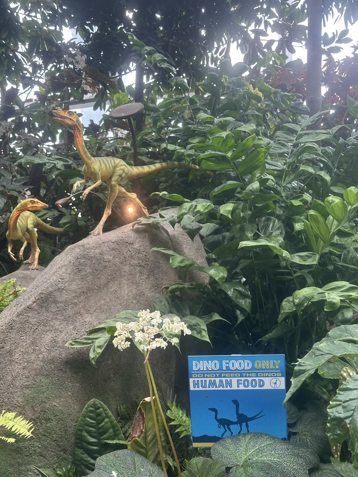 Überall im Cloud Forest der Gardens by the Bay verstecken sich Dinosaurier
