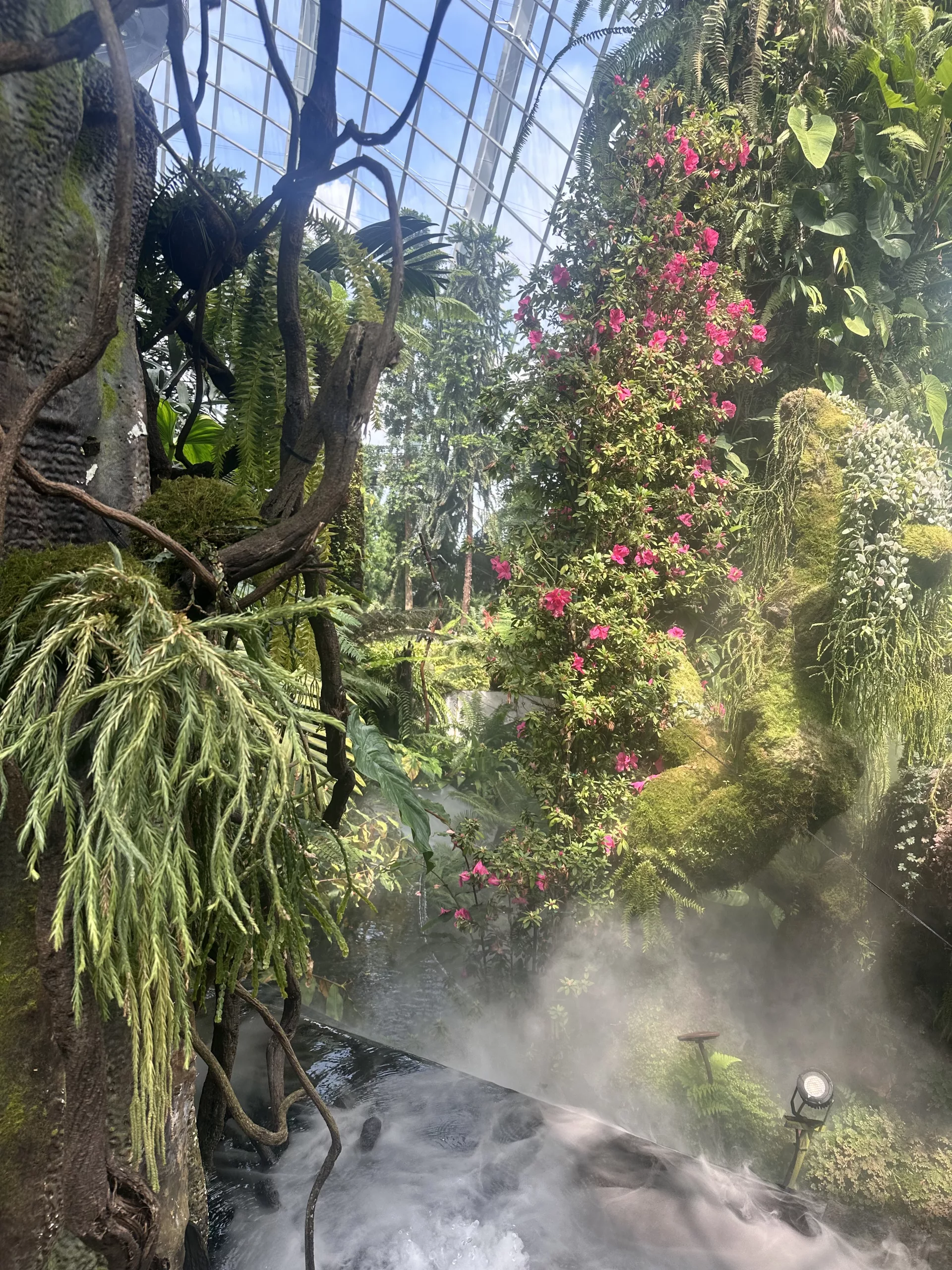 Tropische Atmosphäre im Cloud Forest der Gardens by the Bay