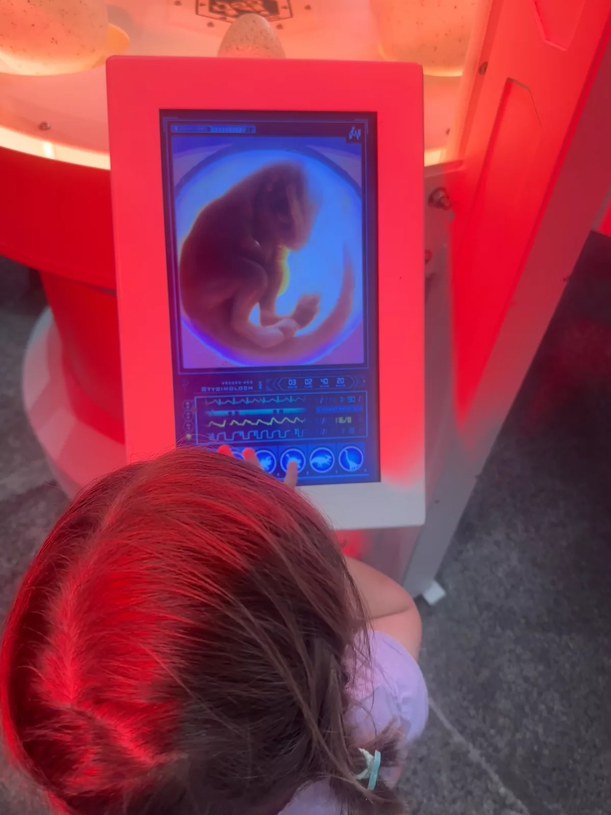 Ava schaut sich den Inhalt verschiedener Dino-Eier an Ava schaut sich den Inhalt verschiedener Dino-Eier an