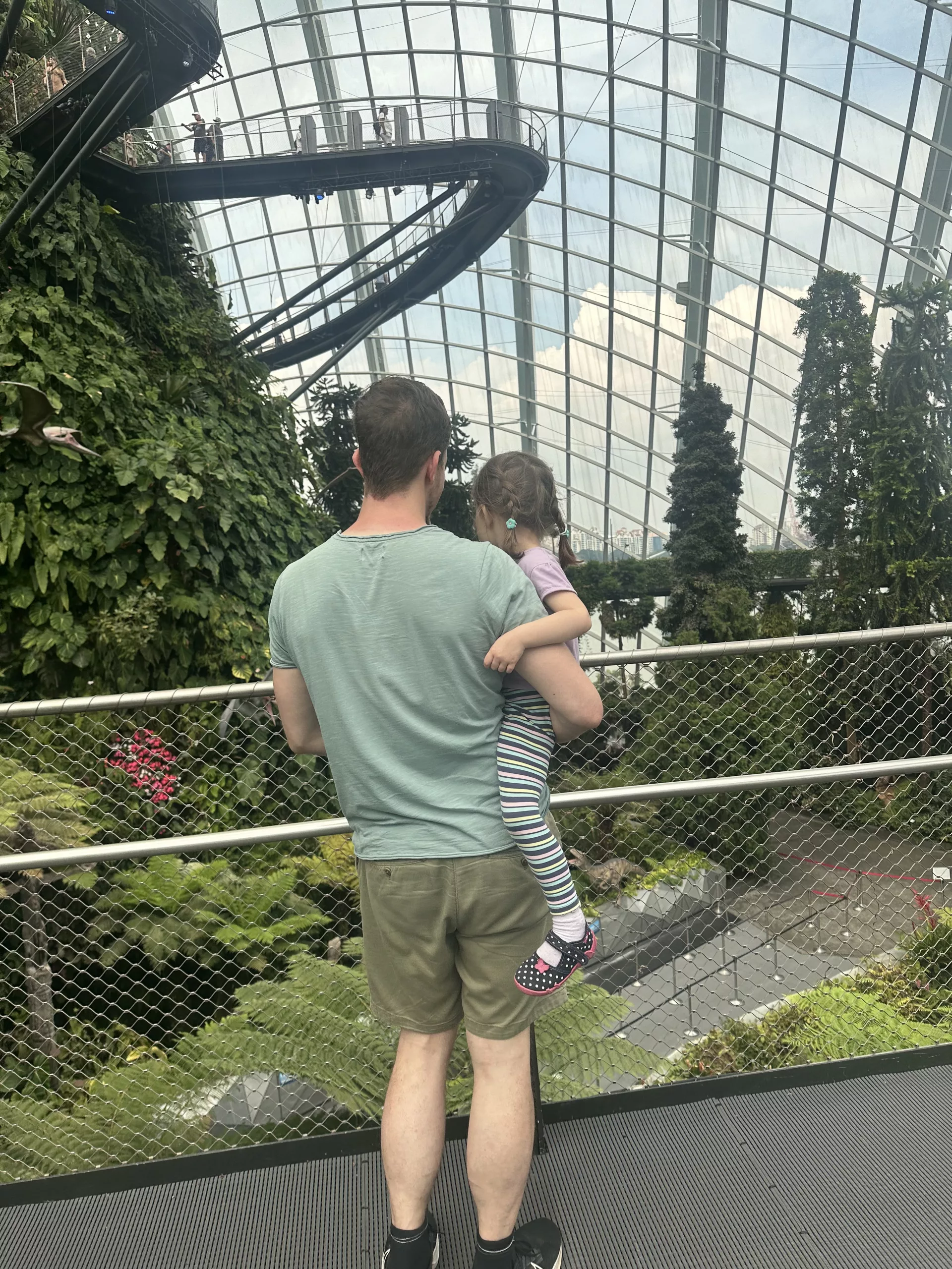 Von den Brücken im Cloud Forest aus hat man ebenfalls eine tolle Aussicht