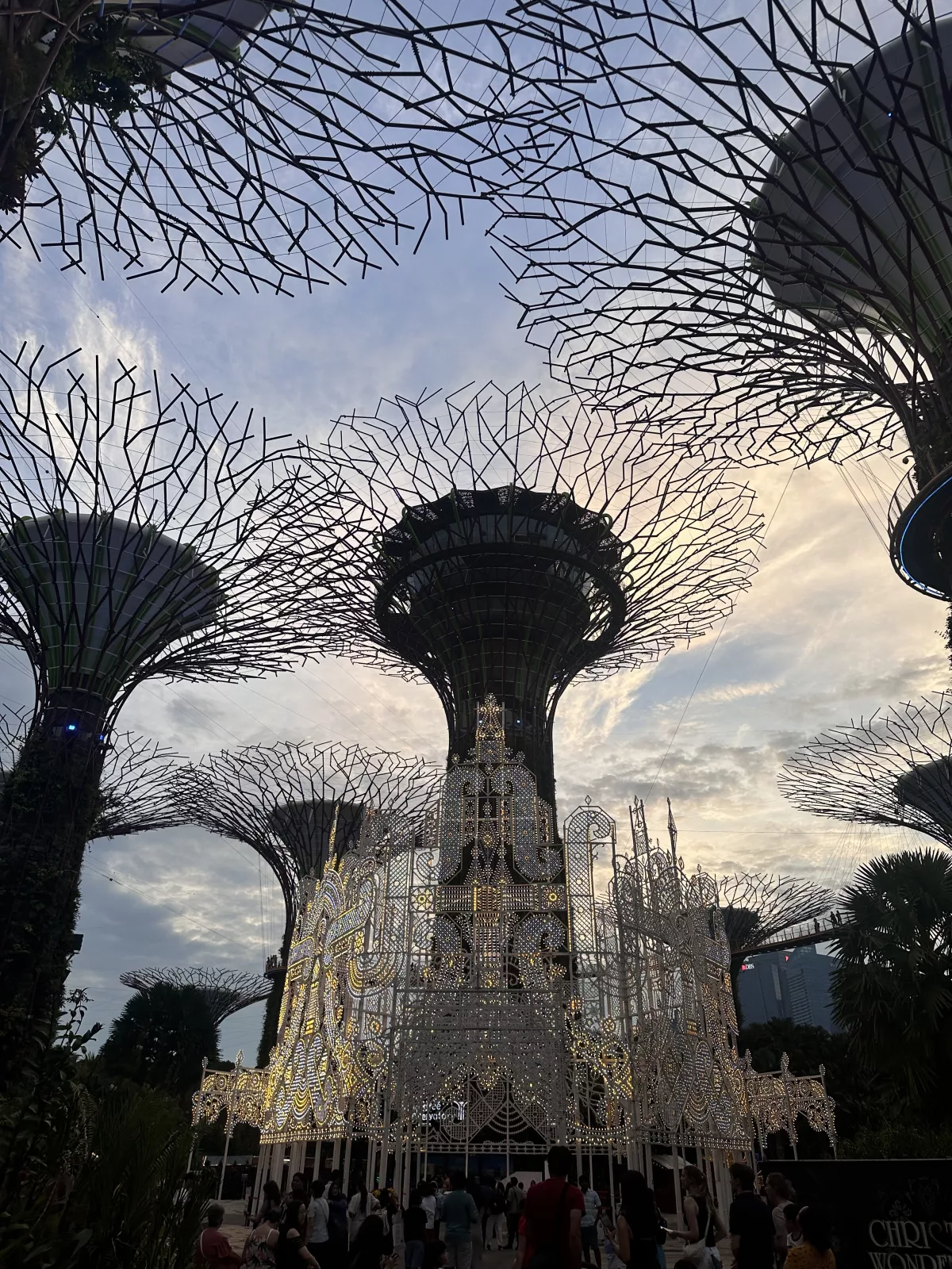 Die Super Tree Grove in den Gardens of the Bay Die Super Tree Grove in den Gardens of the Bay