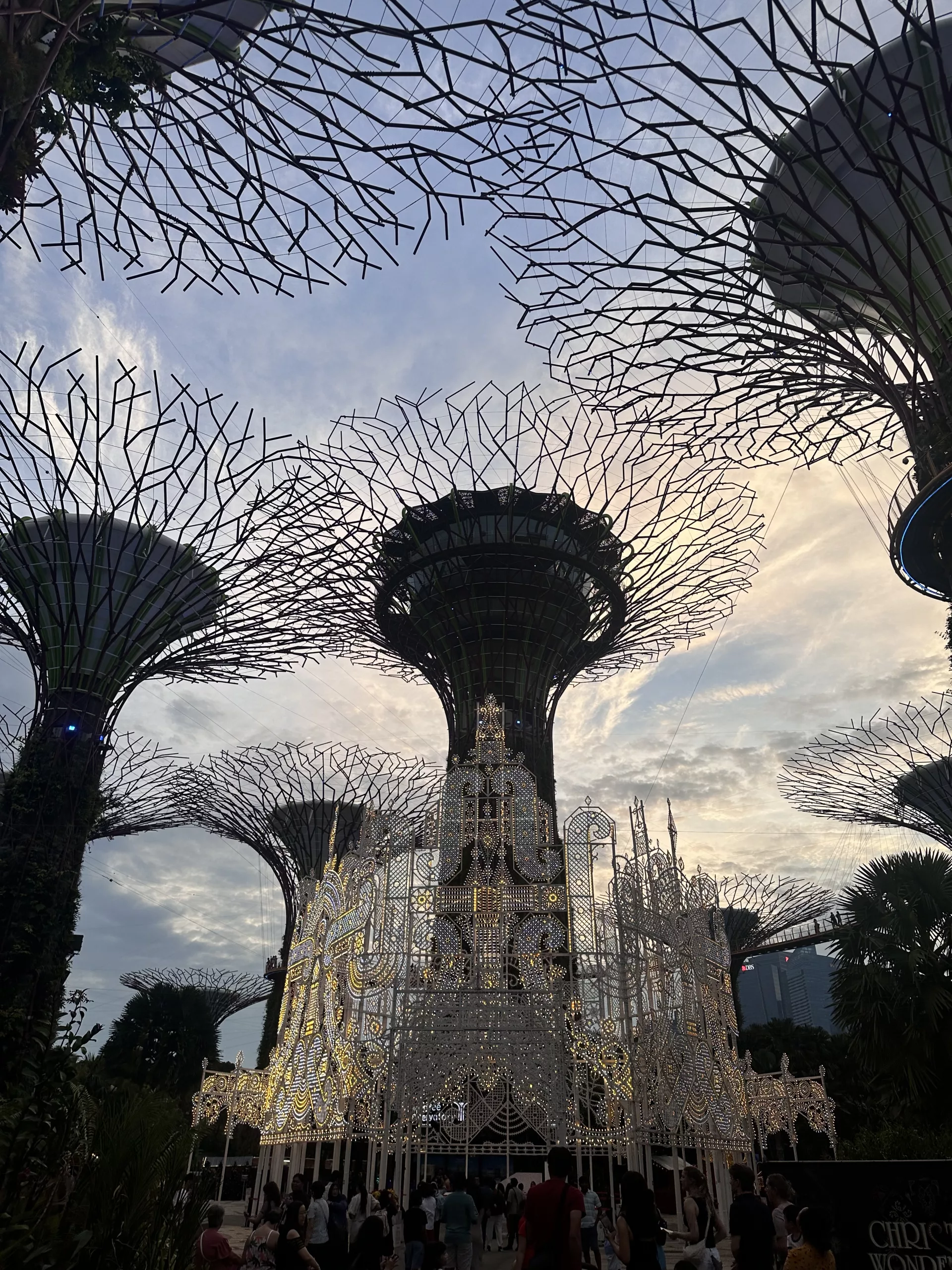 Die Super Tree Grove in den Gardens of the Bay