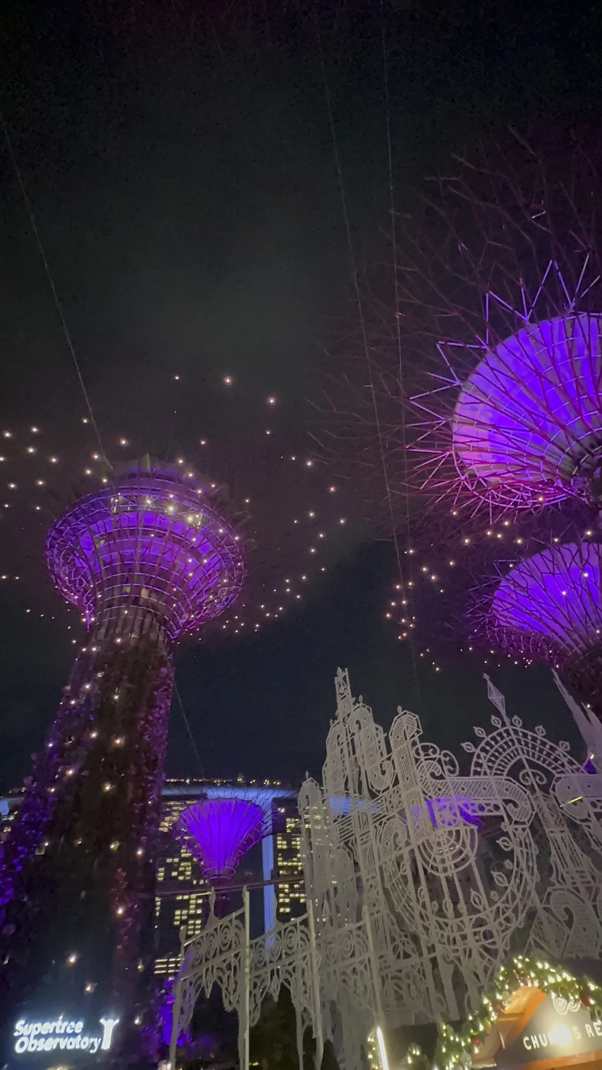 Die Super Trees funkeln passend zur Musik in bunten Farben Die Super Trees in den Gardens of the Bay funkeln passend zur Musik in bunten Farben