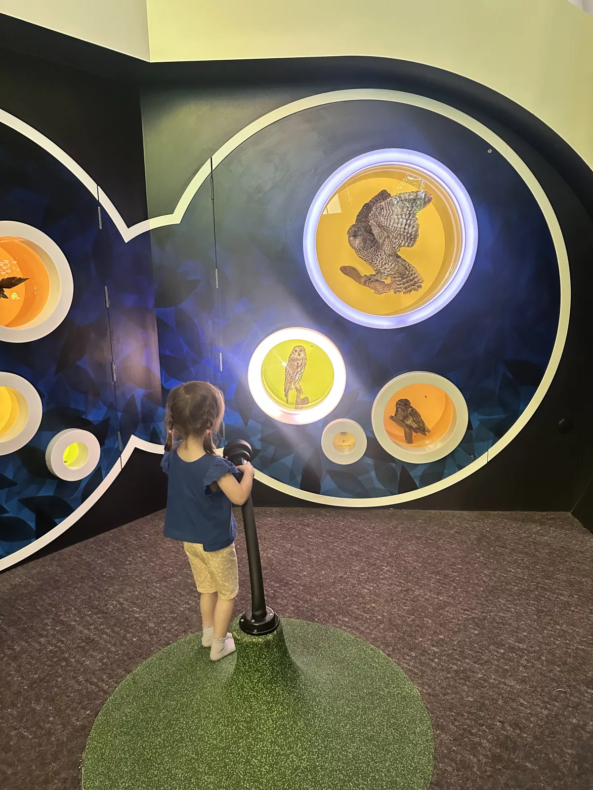 Die Children's Gallery (bis 5 Jahre) im Melbourne Museum war Avas Highlight