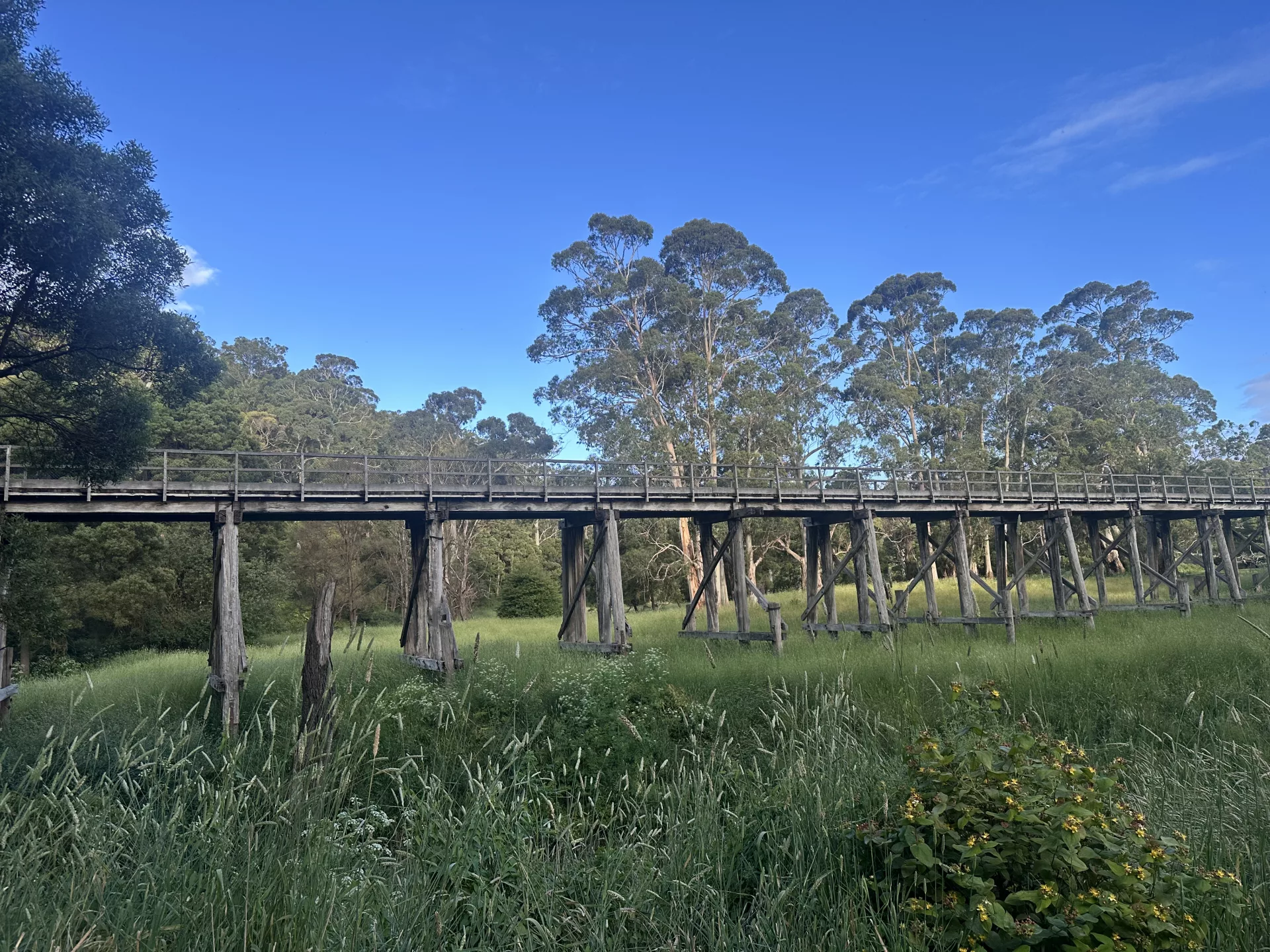Ein Teil der alten Railway Line zwischen Timboon und Camperdown