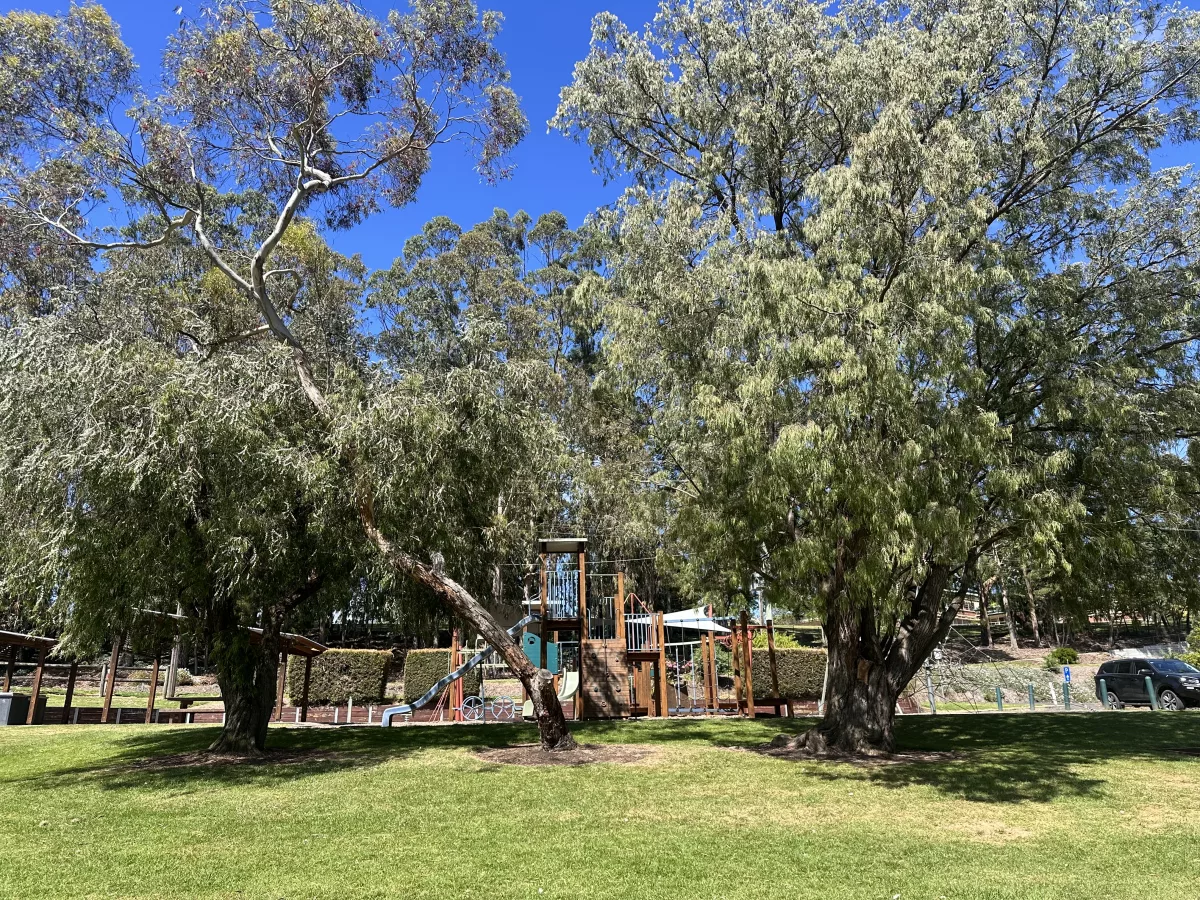 Kleiner Park mit Spielplatz neben der Eisdiele von Timboon