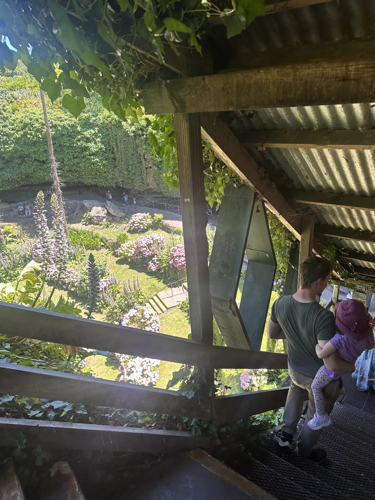 Abstieg zum Umpherston Sinkhole