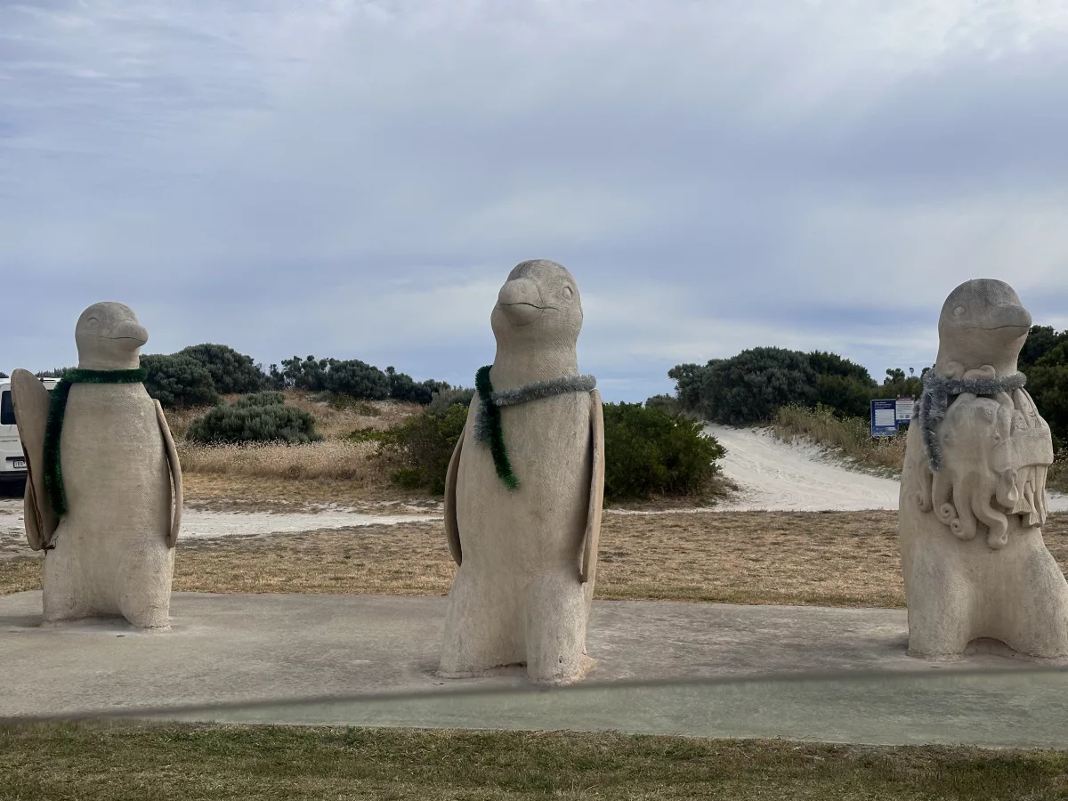 Drei putzige Pinguine begrüßen uns in Port MacDonnell