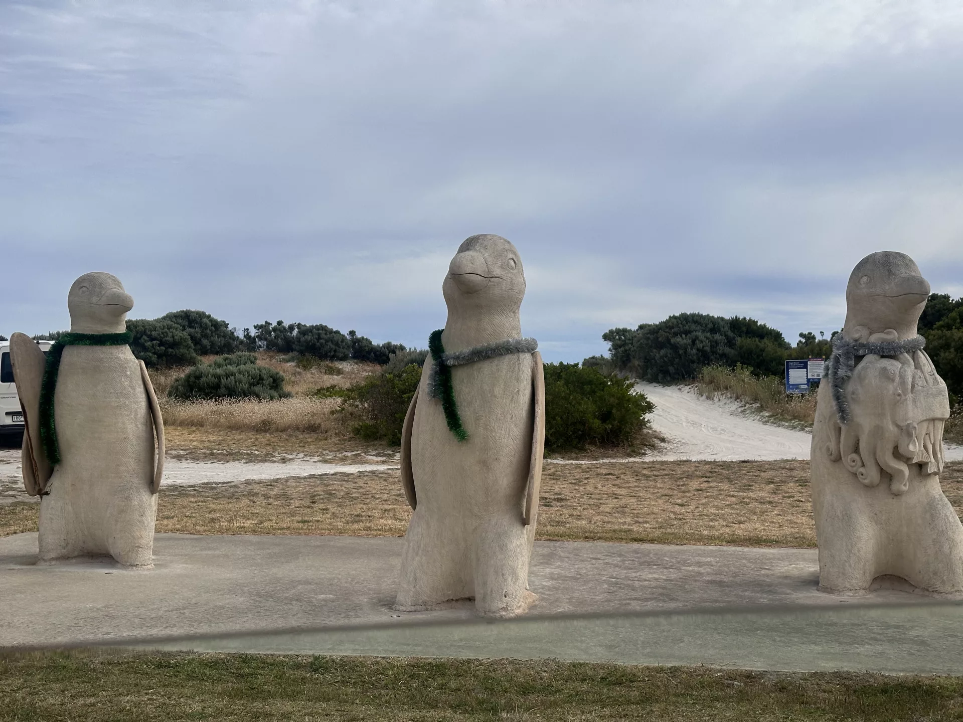 Drei putzige Pinguine begrüßen uns in Port MacDonnell
