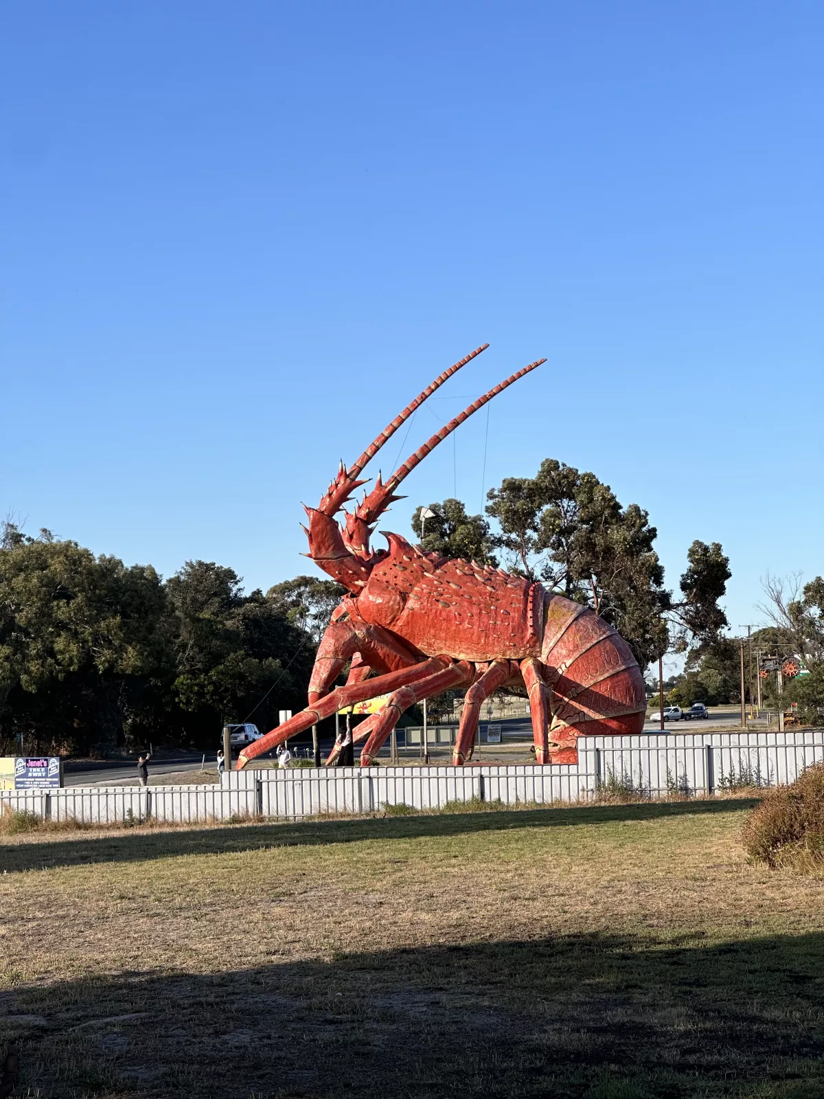 Larry the (really big) Lobster in Kingston S. E.