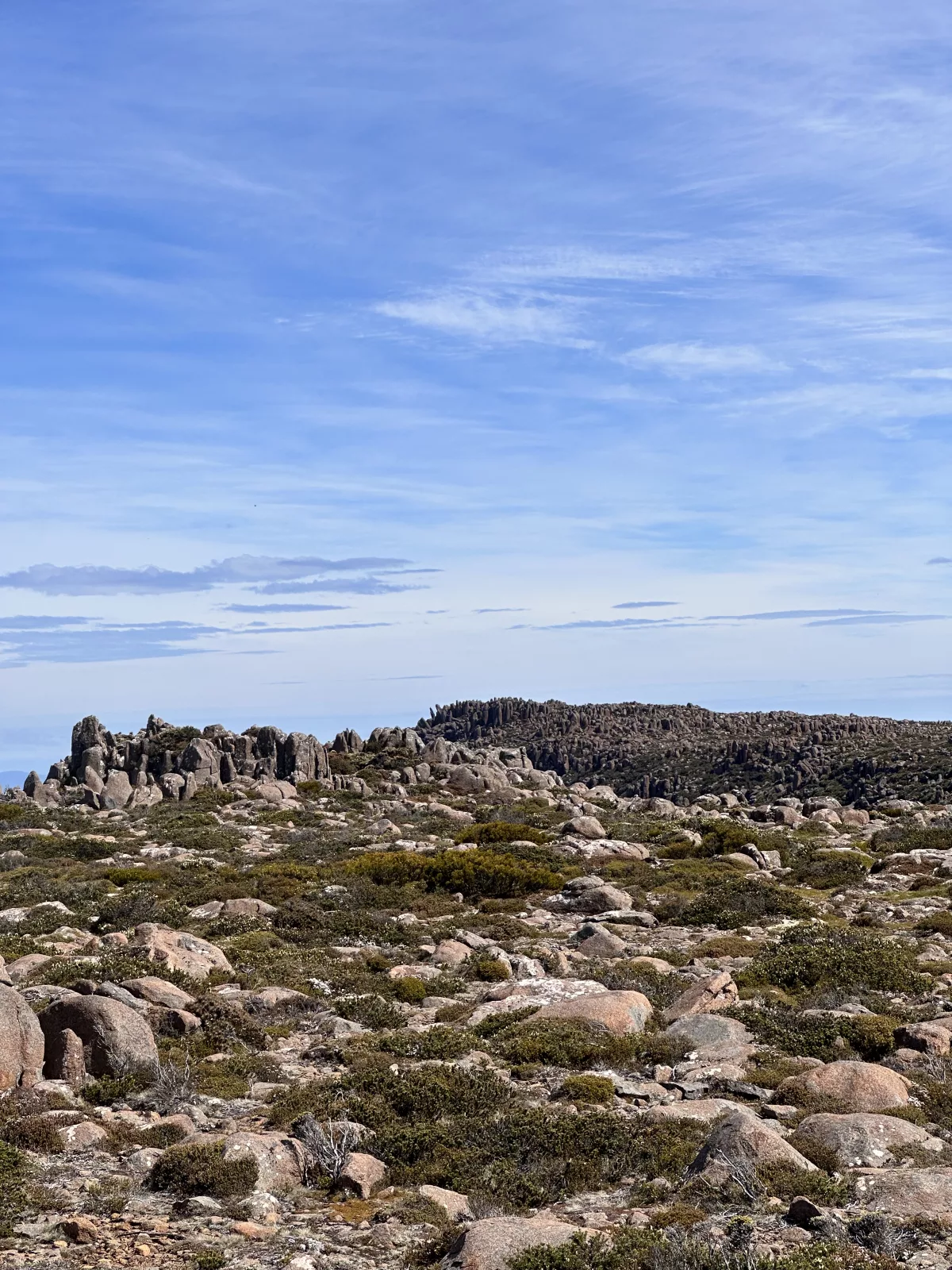 Auch die Gesteinsformationen sind einen Blick wert Auch die Gesteinsformationen auf dem Mount Wellington in Tasmanien sind einen Blick wert
