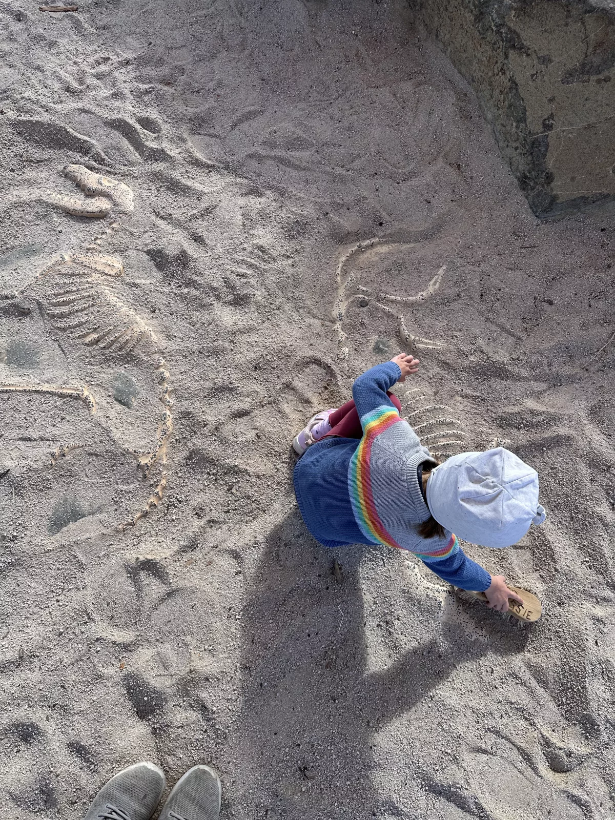 Statt normalem Sandkasten gibt es Fossilien zu entdecken Statt normalem Sandkasten gibt es in Hobart im Kingston Park Fossilien zu entdecken