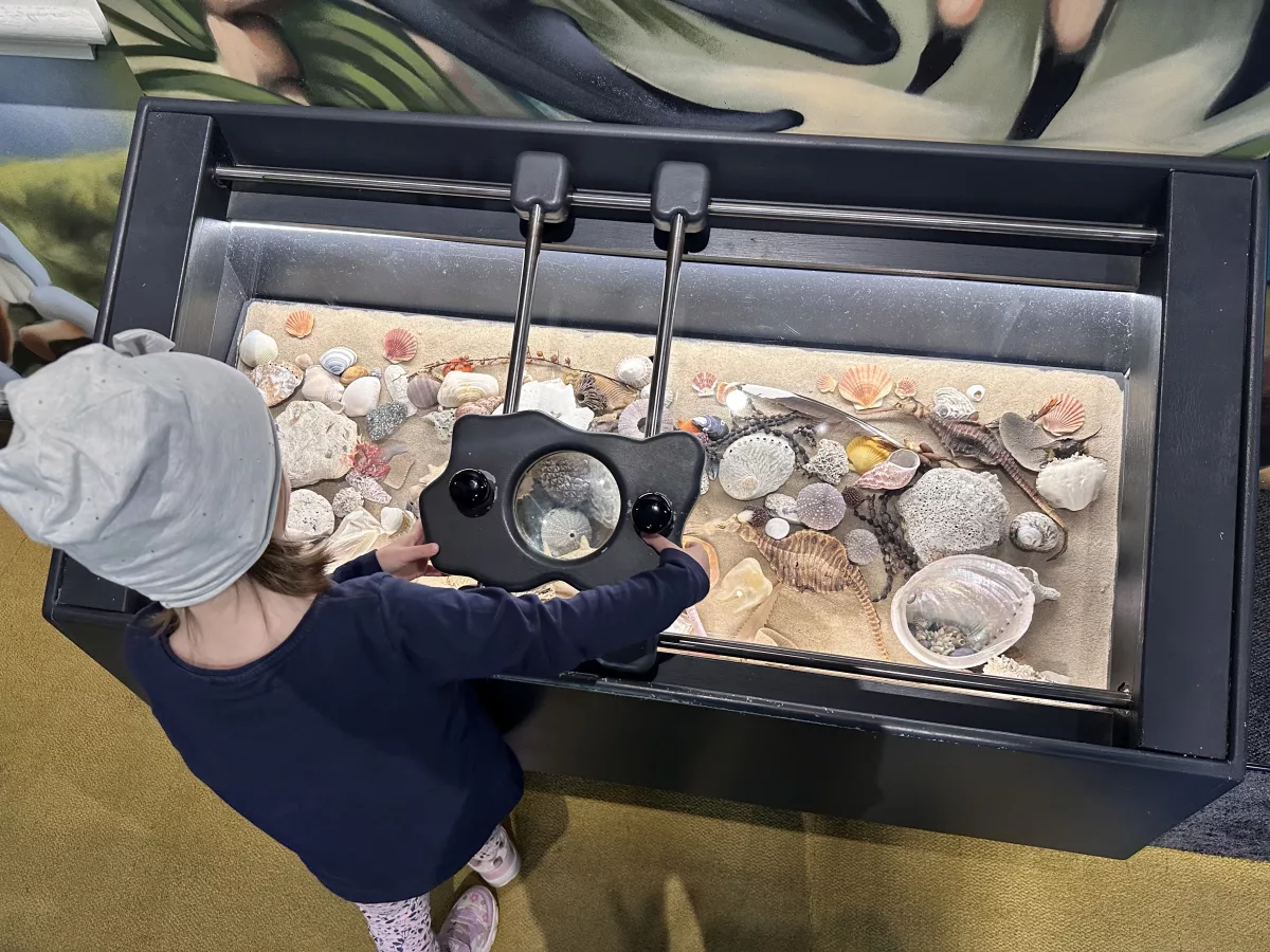 Interaktive Ausstellungsstücke interessieren auch die Kleinsten Die interaktiven Ausstellungsstücke des Tasmanian Museum interessieren auch schon die Kleinsten