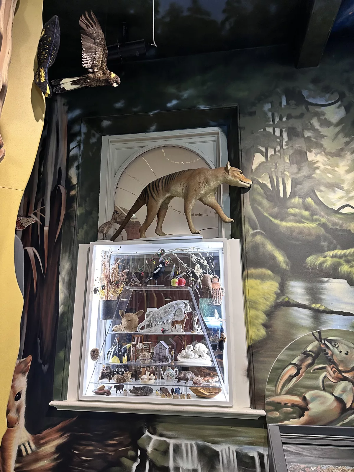 Tasmanischer Tiger und weitere tasmanische Besonderheiten Tasmanischer Tiger und weitere tasmanische Besonderheiten im Museum von Hobart