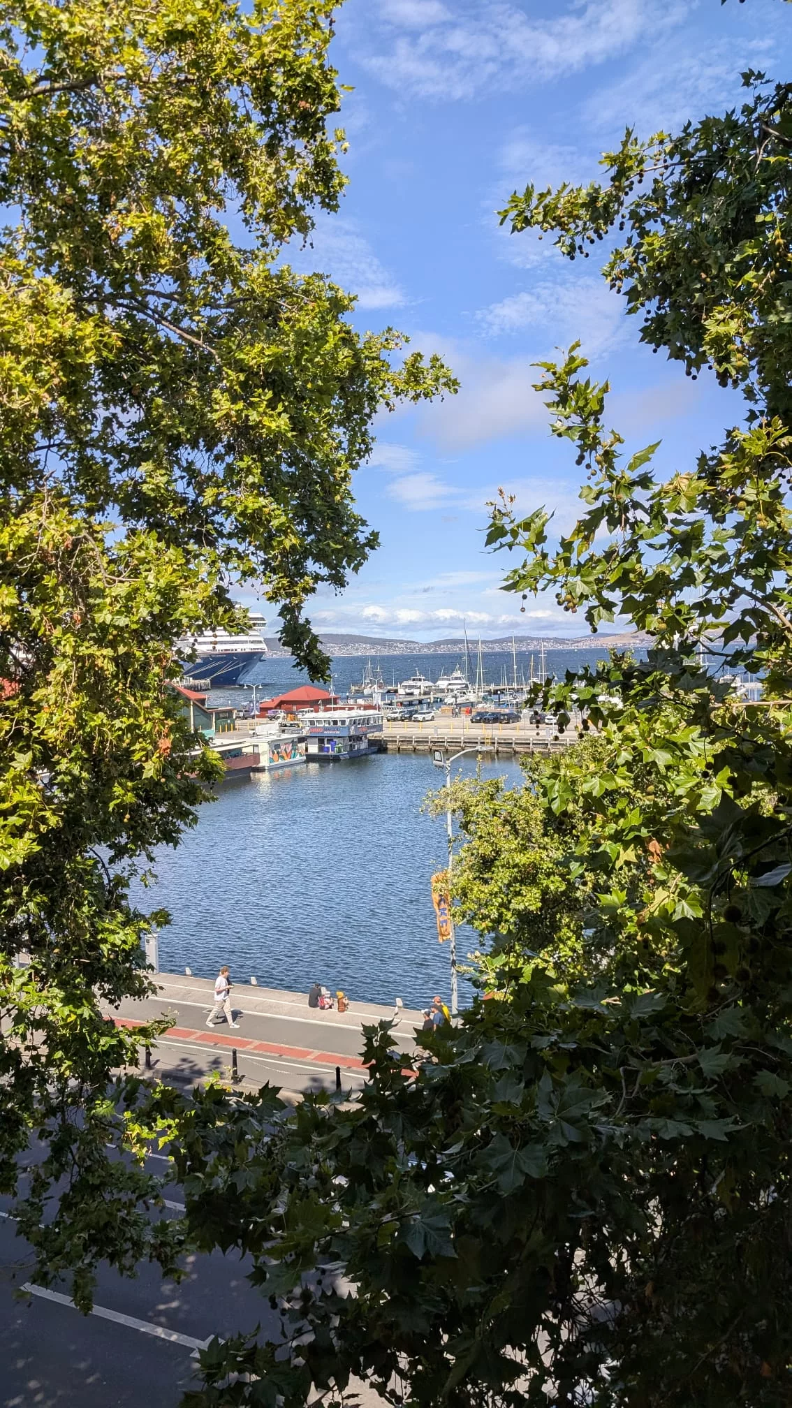 Auch die Aussicht auf den Hafen ist schön ;) Aussicht auf den Hafen von Hobart vom Tasmanian Museum und Art Gallery aus