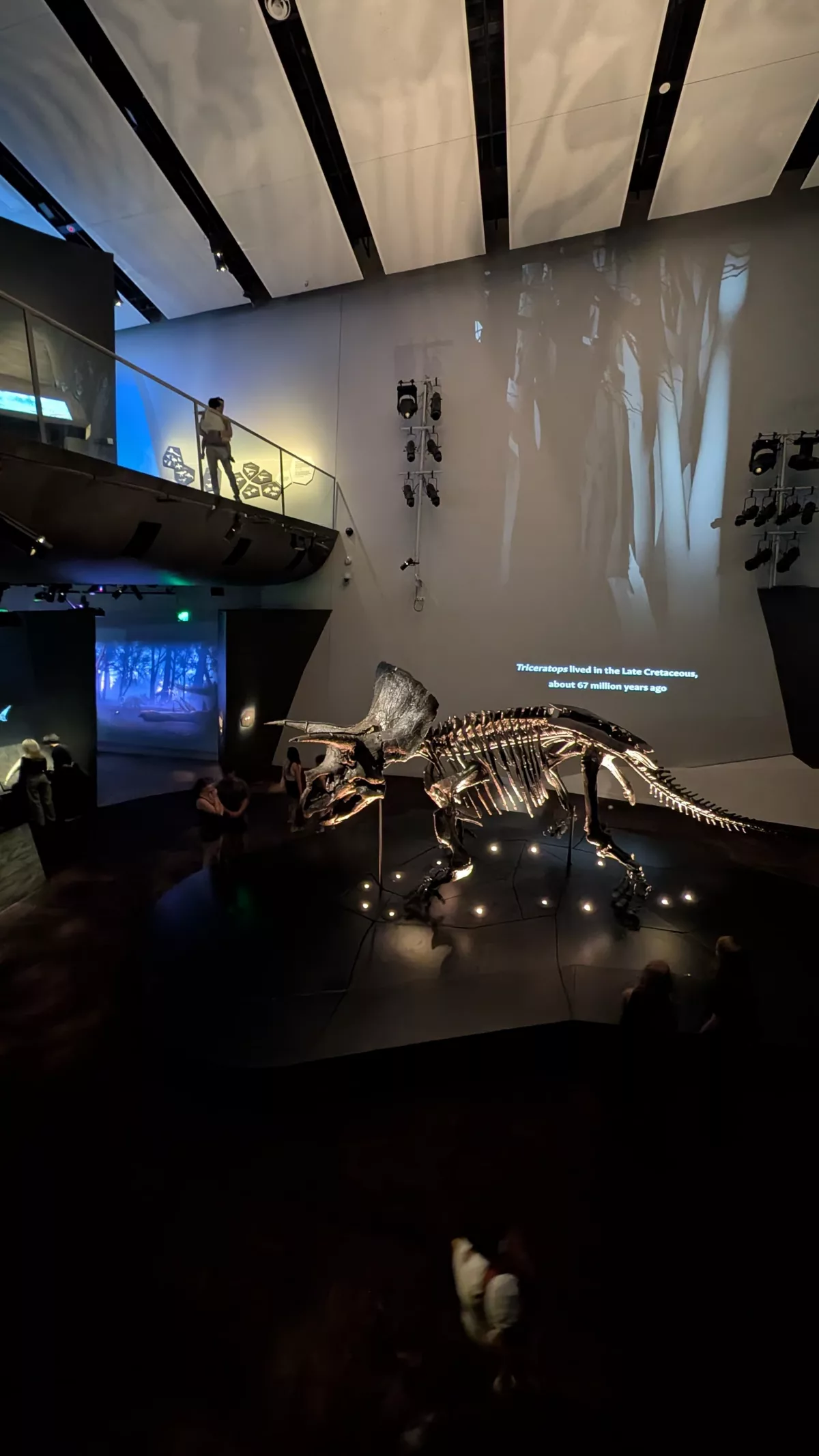 Dinosaurier-Fans kommen im Melbourne Museum voll auf ihre Kosten