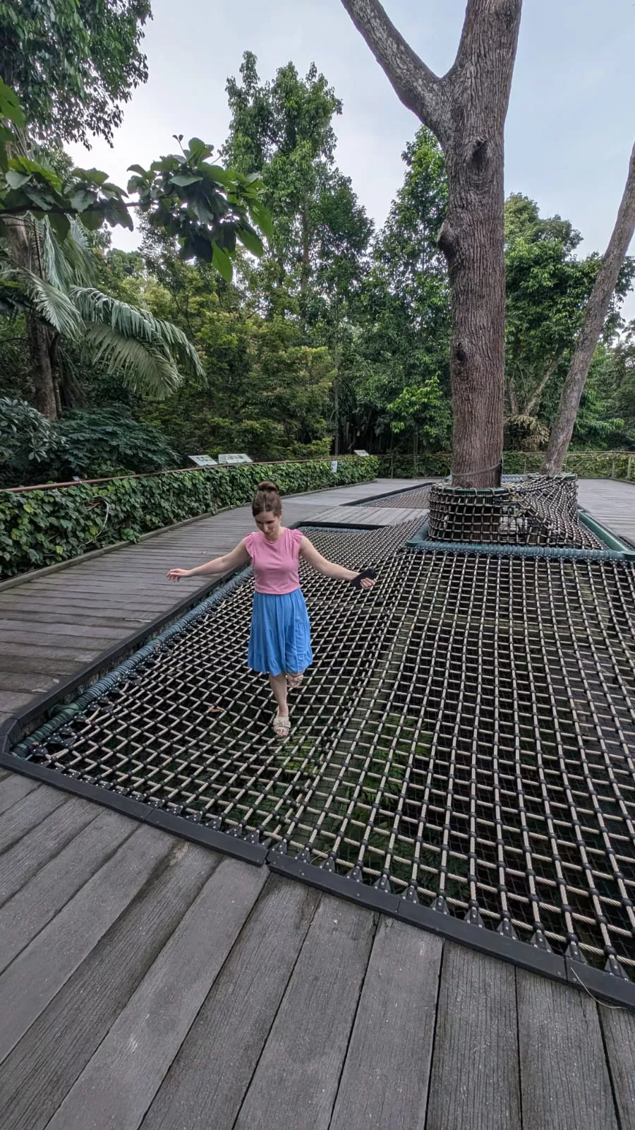 Kletternetze für etwas Action zwischendurch Kletternetze im Botanischen Garten für etwas Action zwischendurch