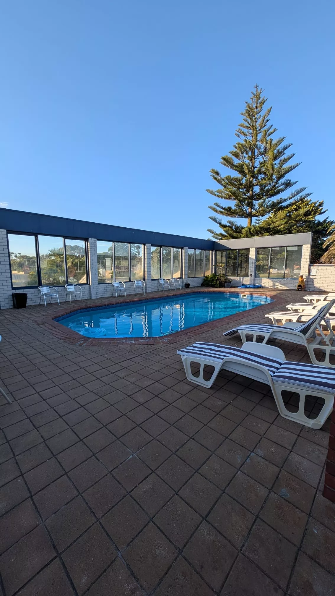 Der Pool des Motels - gleich hinter dem Baum wohnt übrigens Larry der Lobster ;)