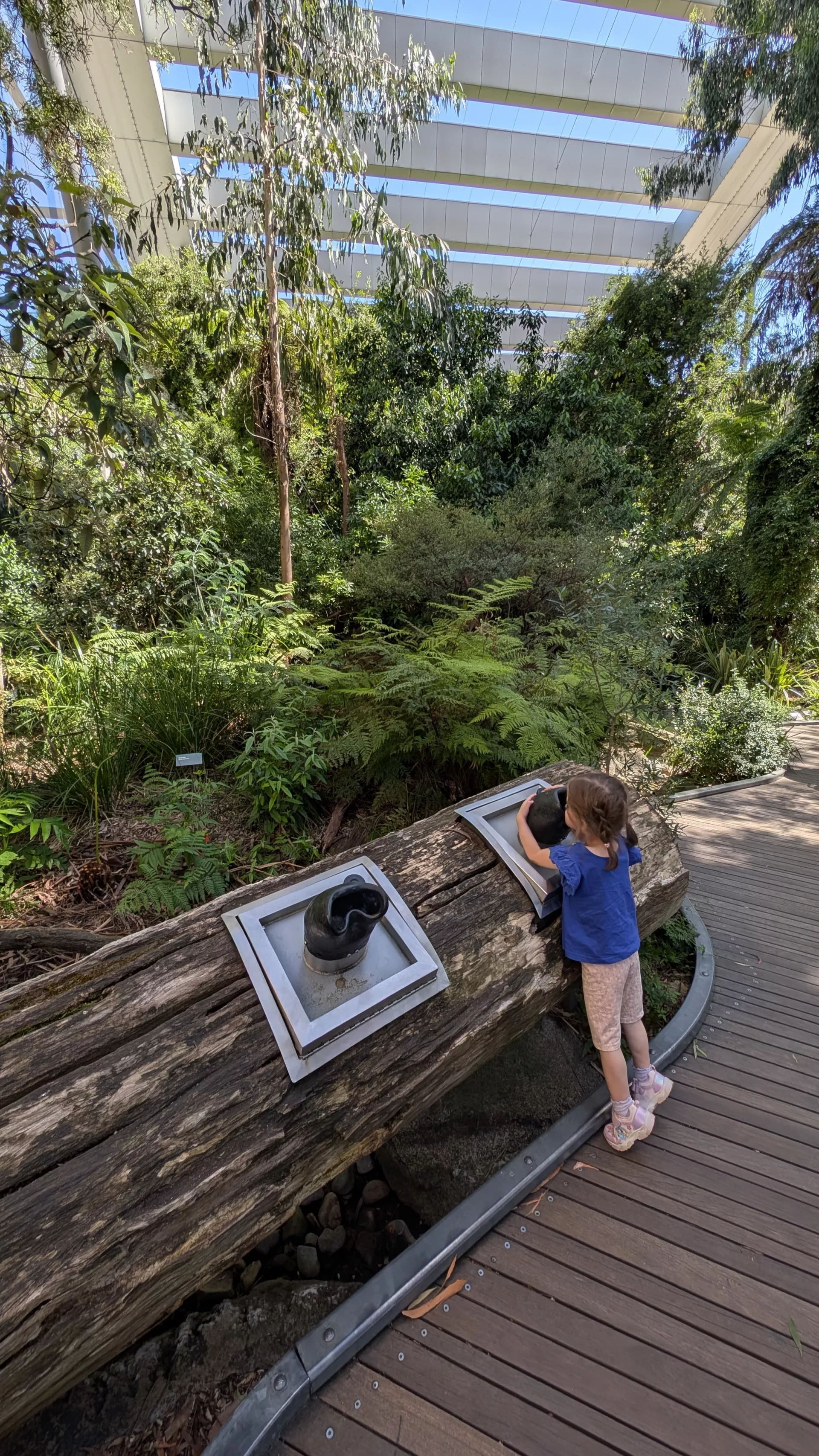 Die Forrest Gallery des Melbourne Museums bietet u. a. Einblicke in das Leben der Ameisen