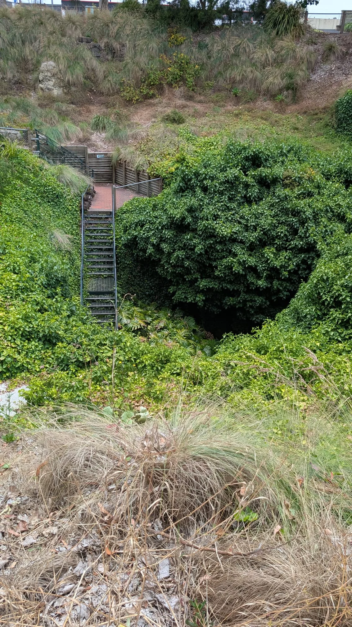 Die Engelbrecht Cave wirkt von oben recht unscheinbar