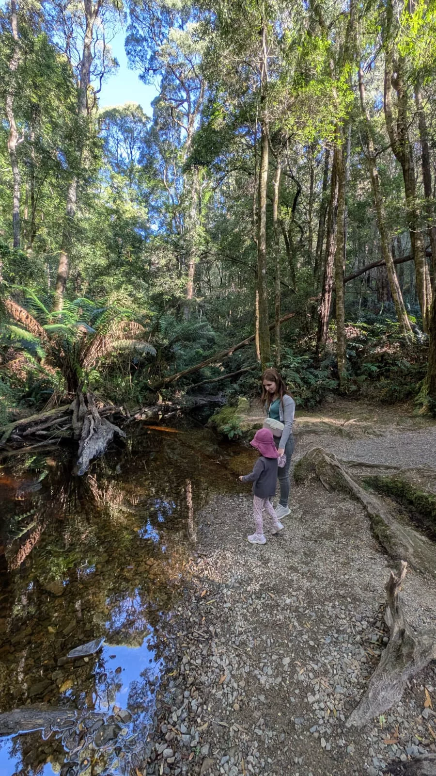 Die kurze Wanderung führt immer am Fluss entlang Die kurze Wanderung führt immer am Fluss entlang