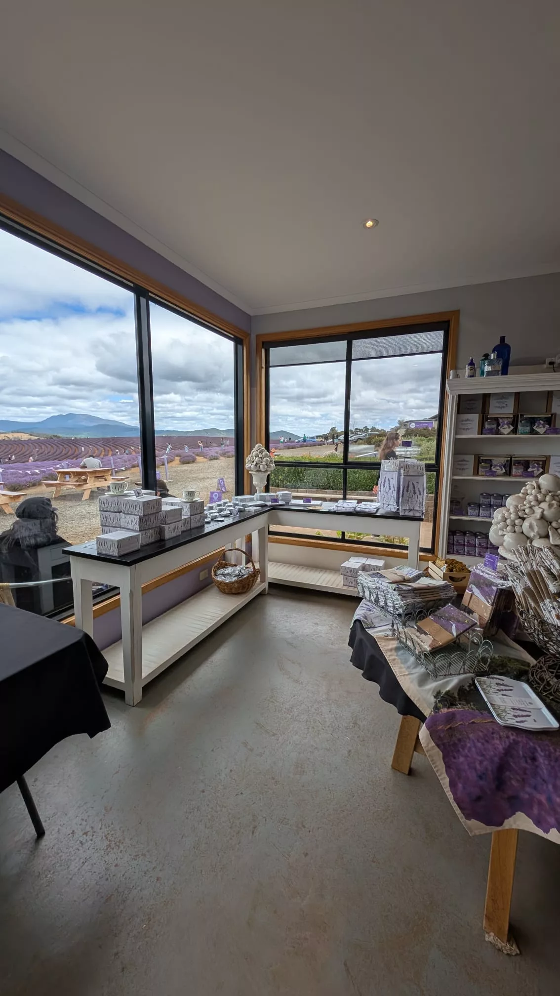 Kleiner Ausschnitt aus dem Lavendel-Shop Kleiner Ausschnitt aus dem Lavendel-Shop in Bridestowe