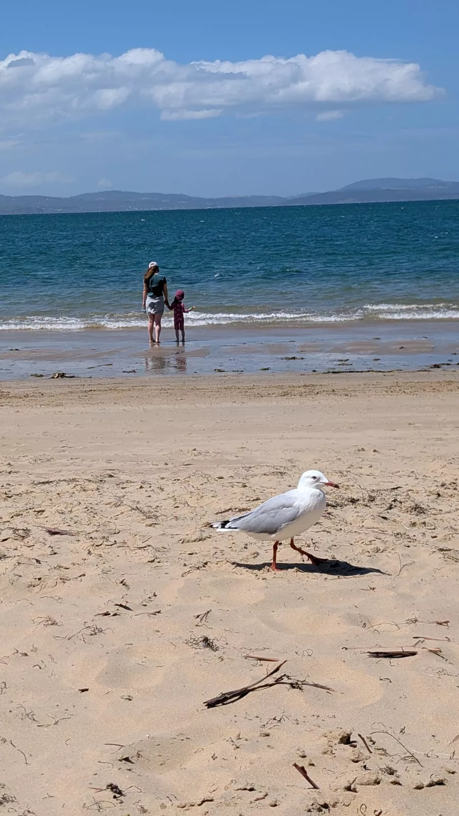 Kurz die Füße ins Meer halten am Lauderdale Beach Kurz die Füße ins Meer halten am Lauderdale Beach in Hobart