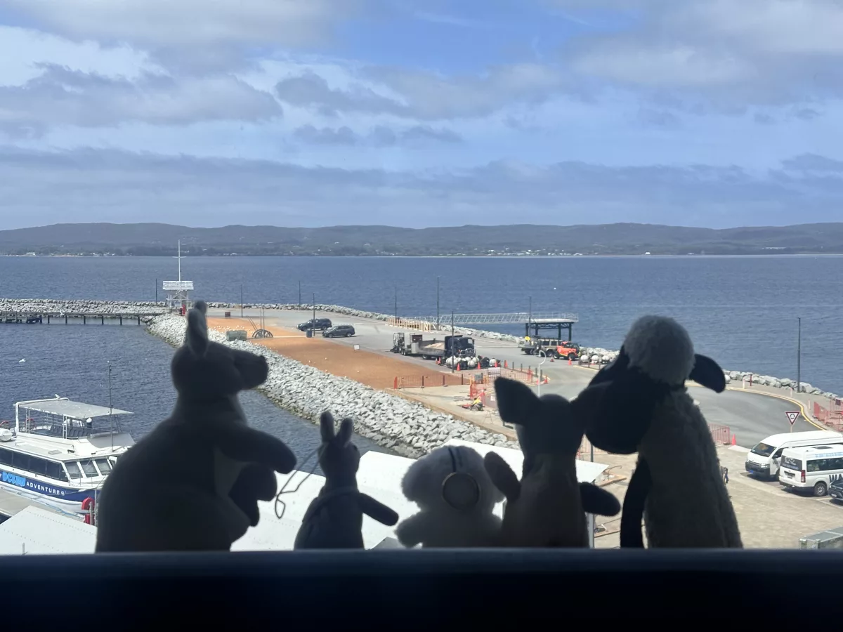 Avas treue Begleiter und beste Freunde unterwegs Avas treue Begleiter und beste Freunde unterwegs