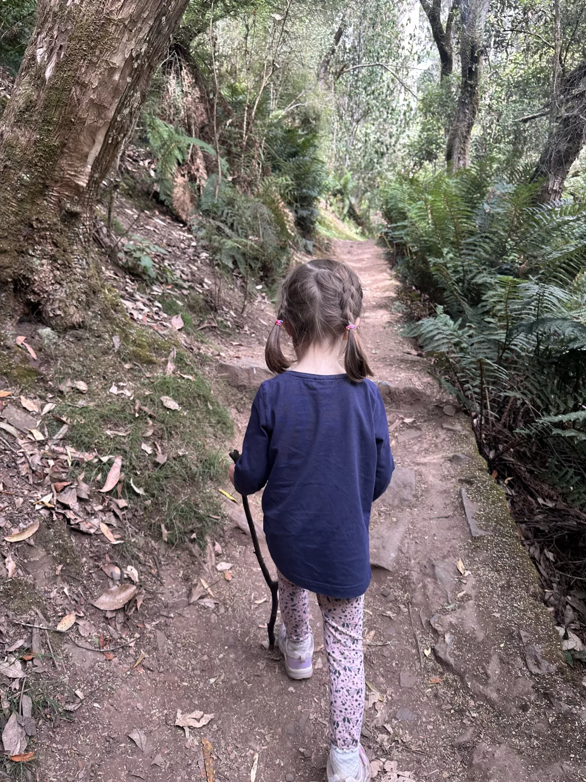 Die Wanderung ist auch mit kleineren Kindern super zu schaffen Die Wanderung zu den Lilydale Falls ist auch mit kleineren Kindern super zu schaffen