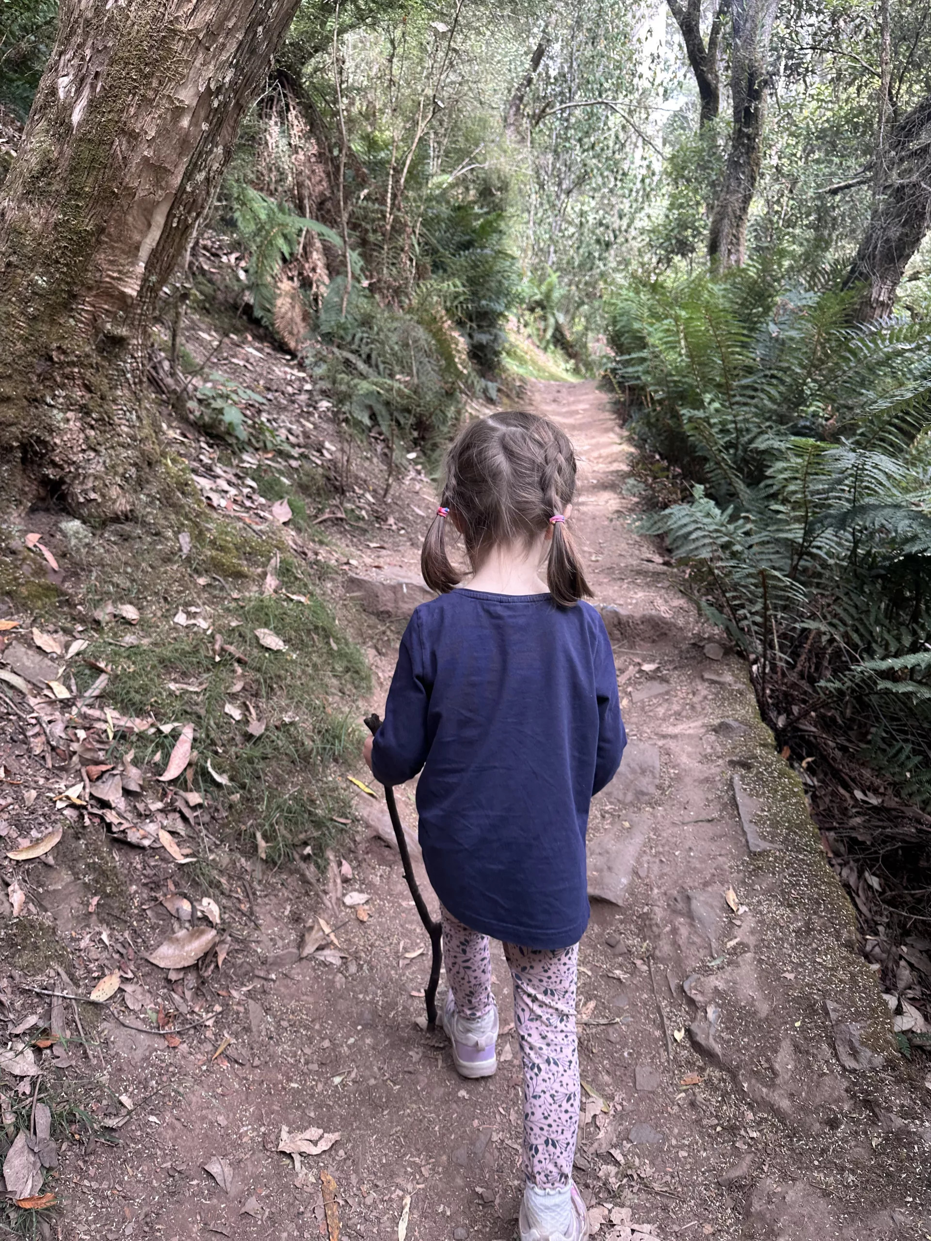 Die Wanderung zu den Lilydale Falls ist auch mit kleineren Kindern super zu schaffen