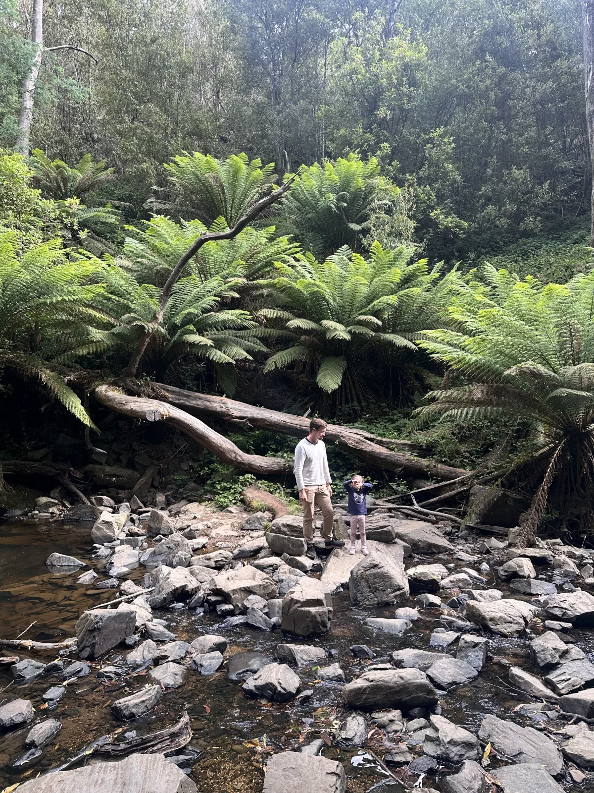 Kletterspaß und Dschungelfeeling inklusive ;) Kletterspaß und Dschungelfeeling sind an den Lilydale Falls inklusive
