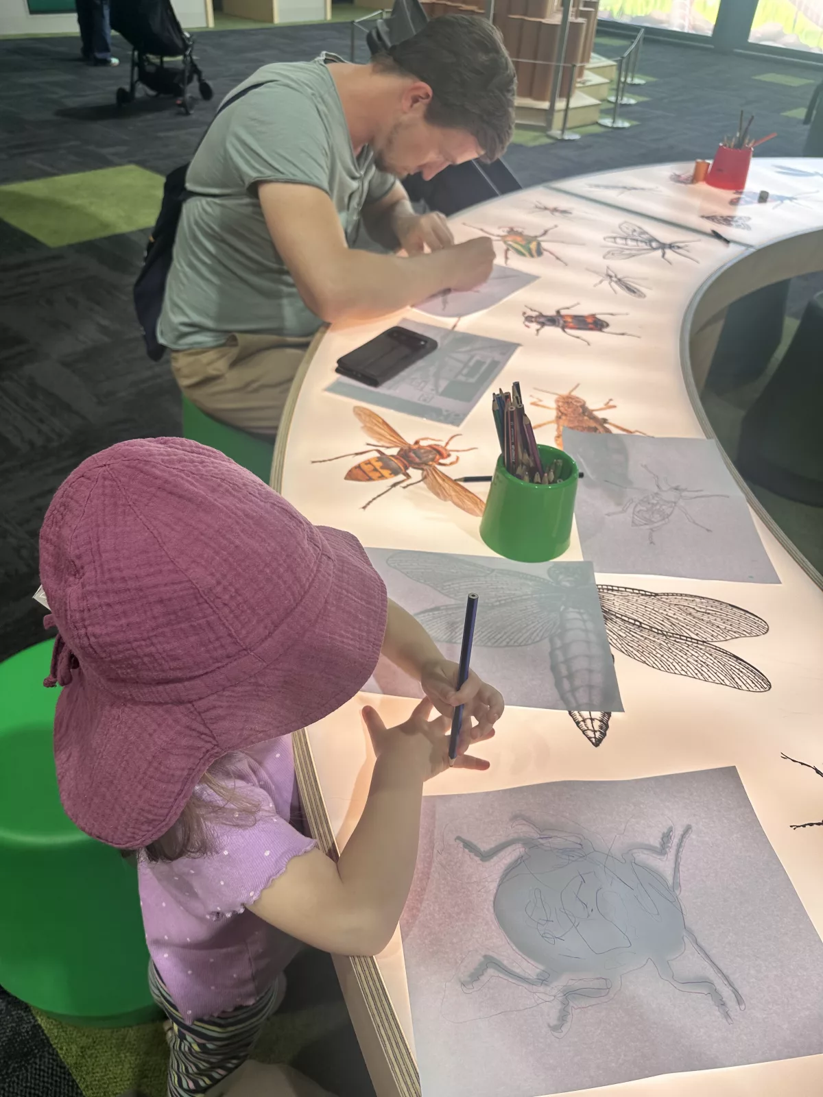 Hier konnten verschiedene Insekten gezeichnet werden Hier konnten verschiedene Insekten gezeichnet werden