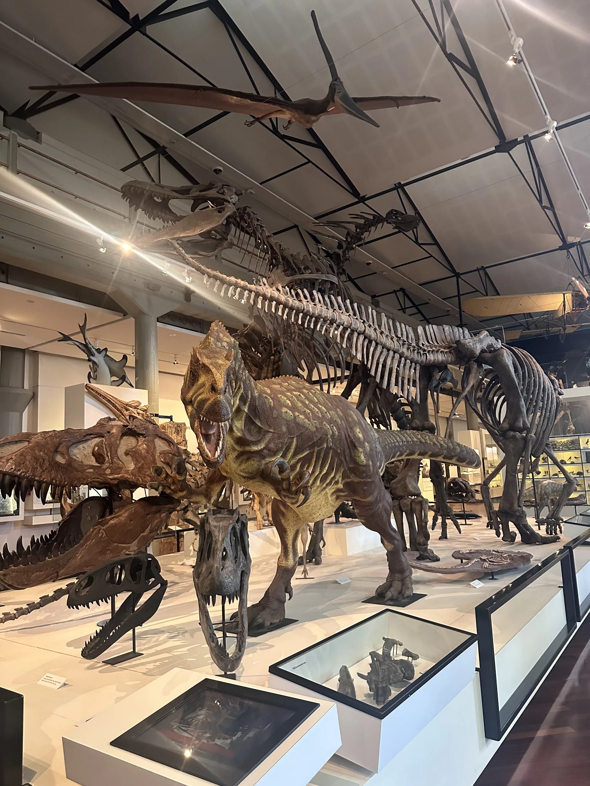 Im Museum gibt es auch klassische Ausstellungsräume, u. a. mit Dinosauriern