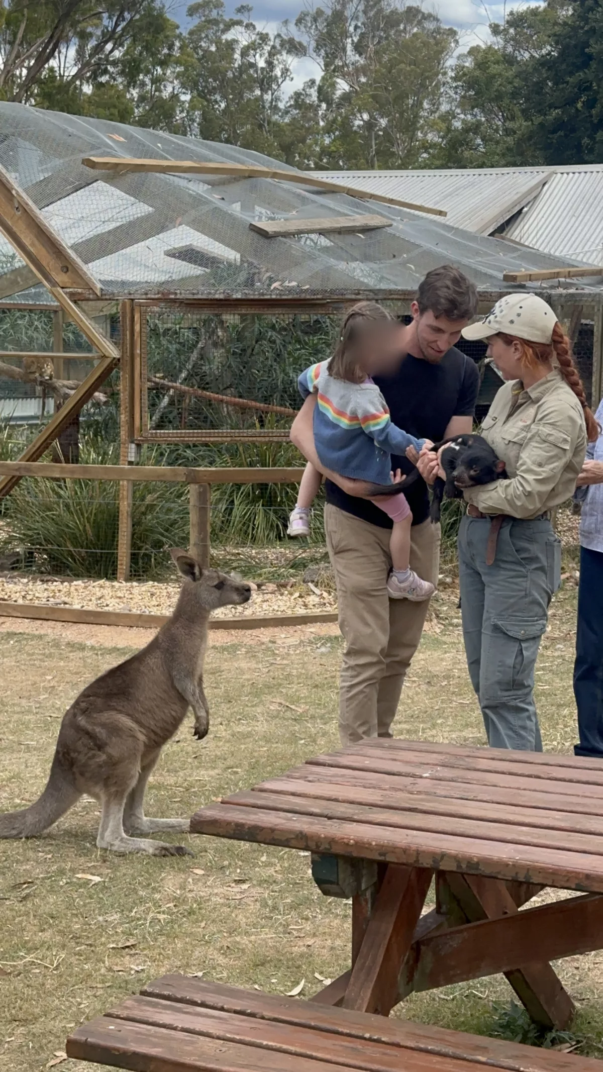 Einen Tasmanischen Teufel streicheln während ein Känguru zuschaut Einen Tasmanischen Teufel streicheln während ein Känguru zuschaut