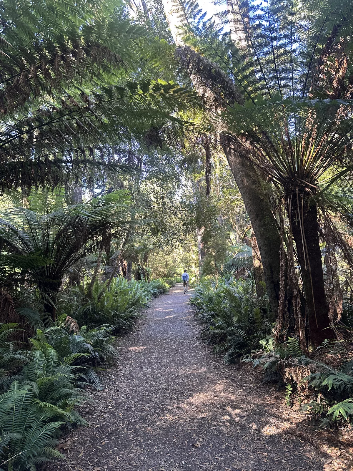 Der Wanderweg zu den Hogarth Falls Der Wanderweg zu den Hogarth Falls