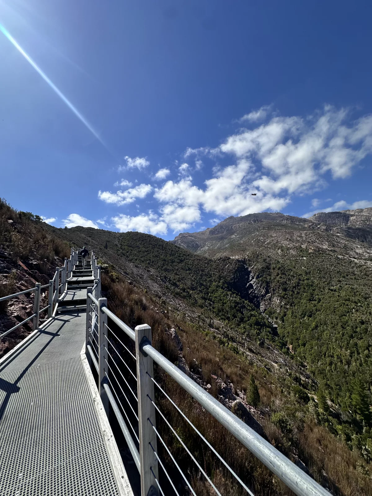Den letzten Teil des Wegs nahm Oli dann allein Den letzten Teil des Wegs nahm Oli dann allein