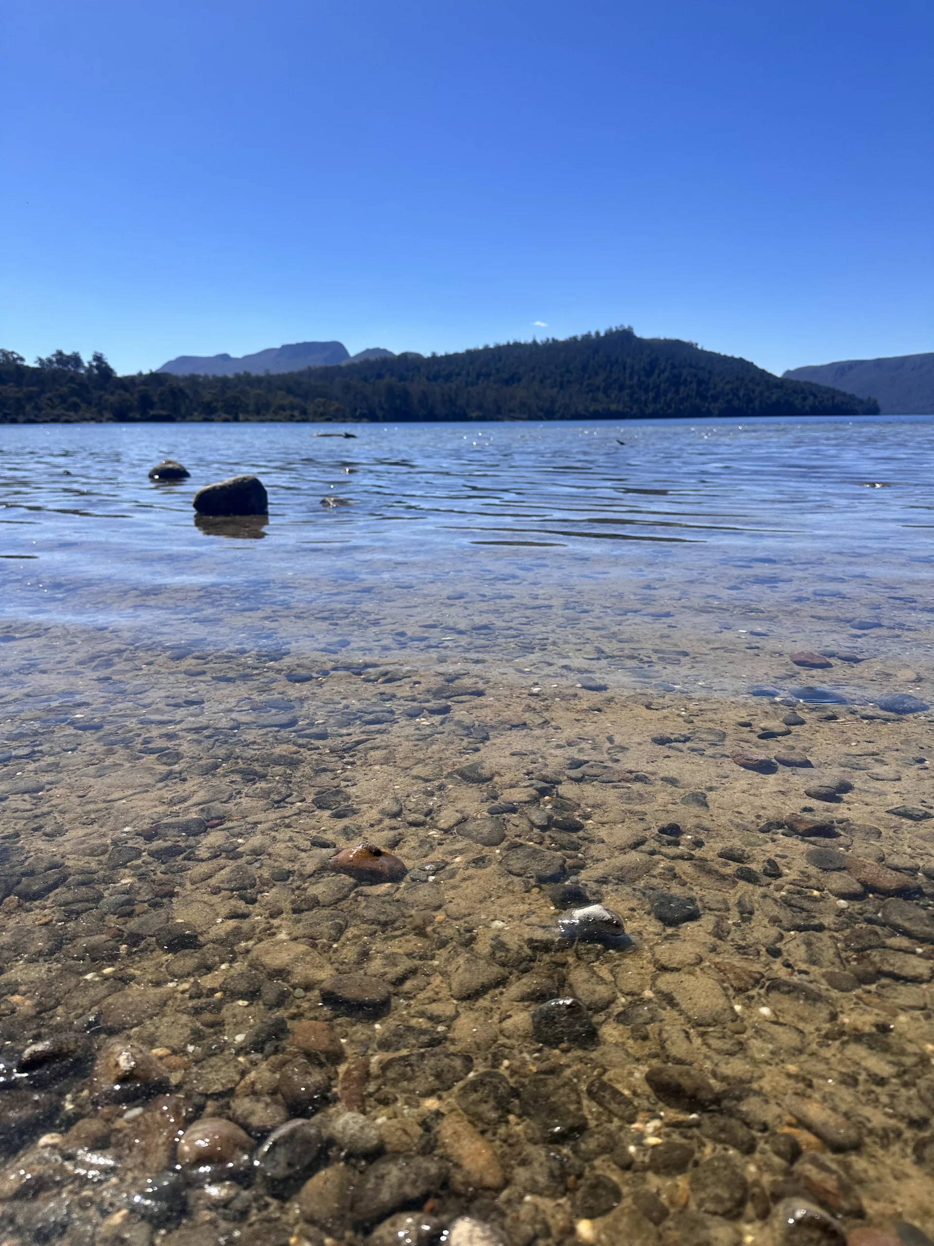 Das Wasser des Lake St Clair ist wirklich unglaublich klar und still