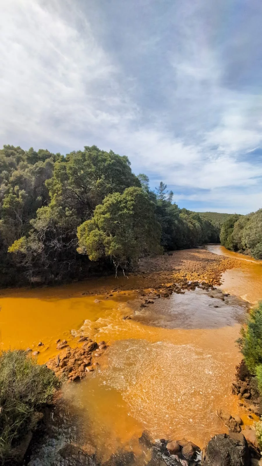 Die Fahrt geht am Queen River entlang (auch Pumpkin Soup River genannt) Die Fahrt geht am Queen River entlang (auch Pumpkin Soup River genannt)